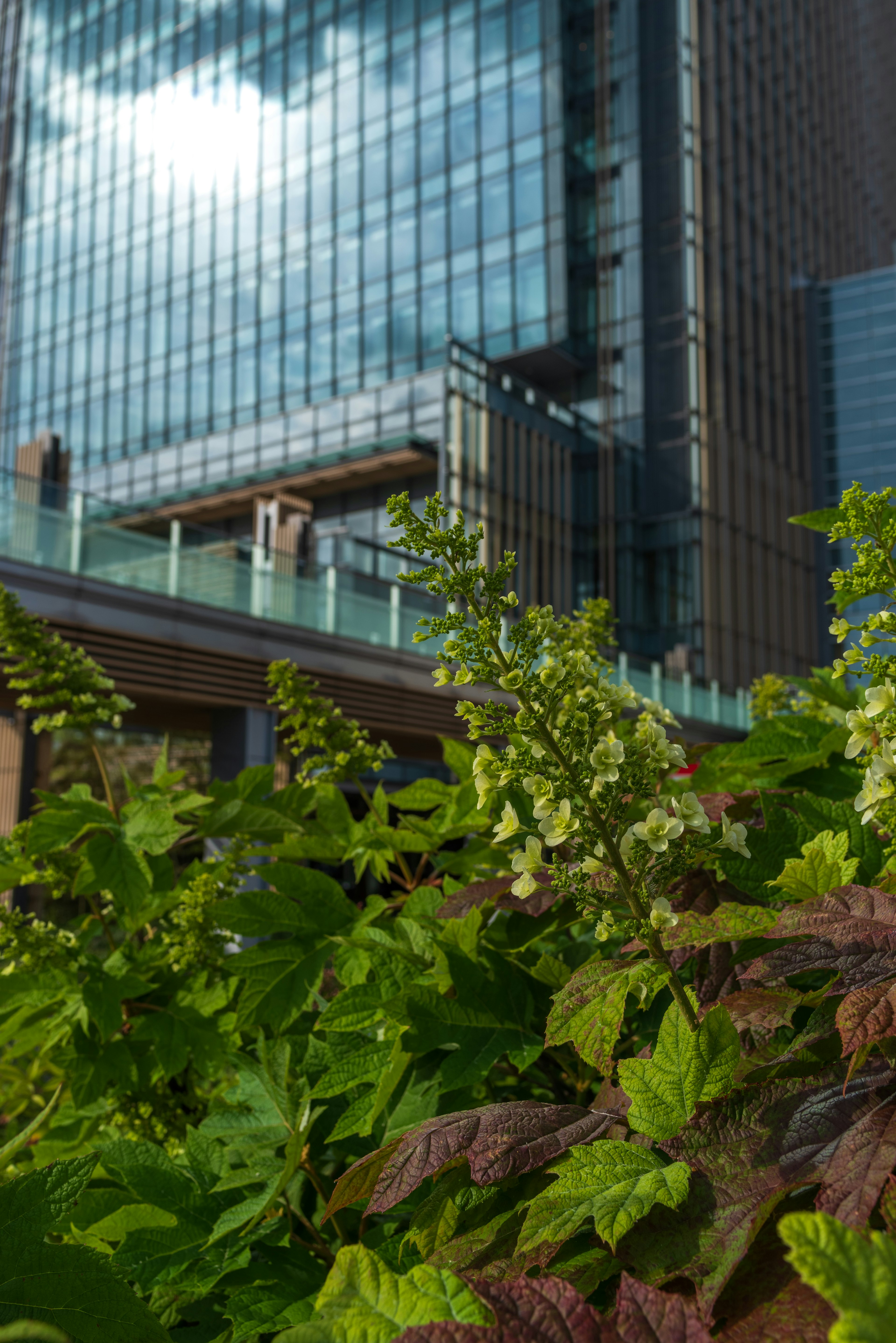 高層ビルの背景に緑豊かな植物が広がるシーン