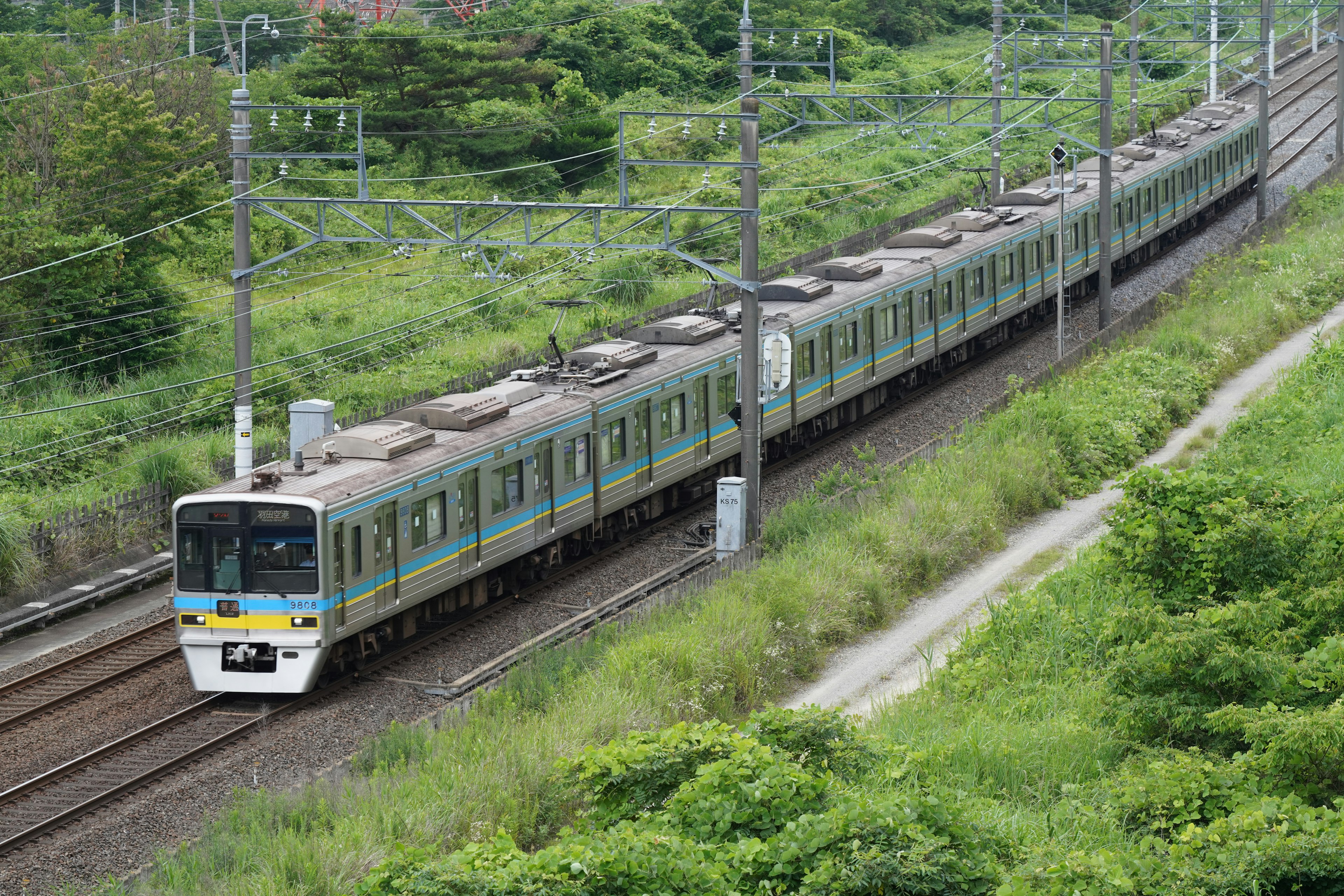 Train traveling through lush green landscape