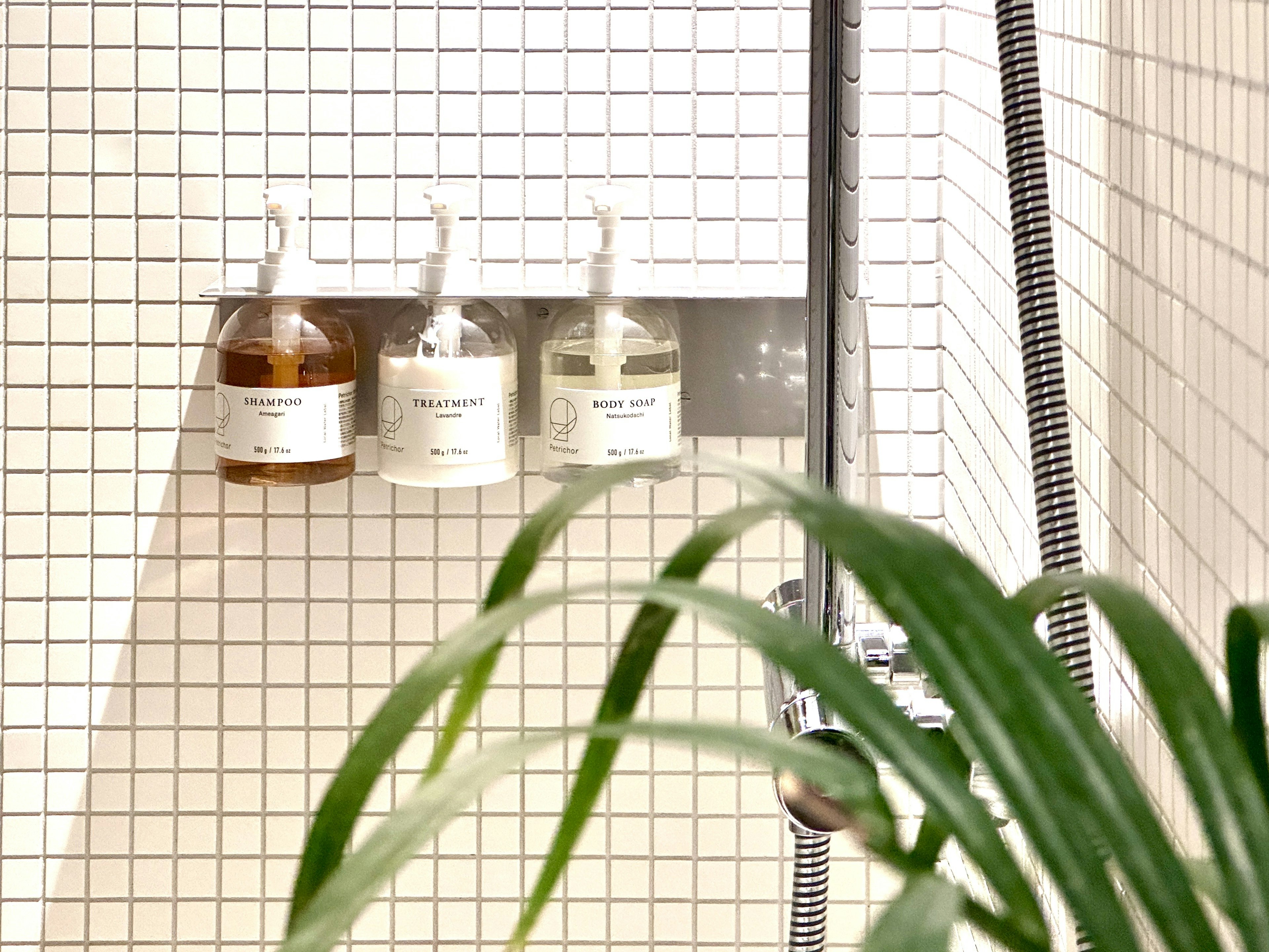 Image featuring three bottles in a shower area with a potted plant