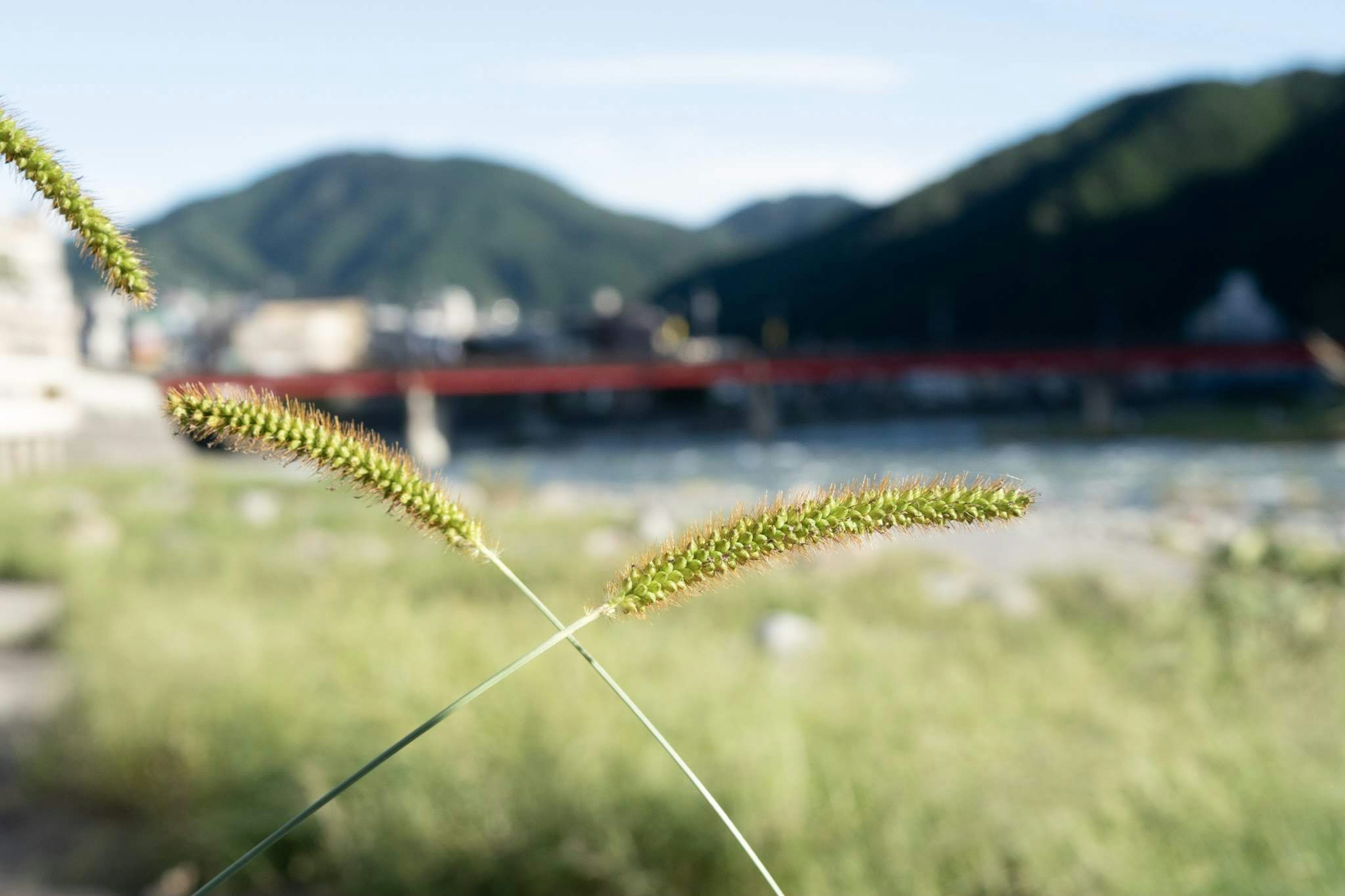 緑の草と山の背景に架かる橋の風景