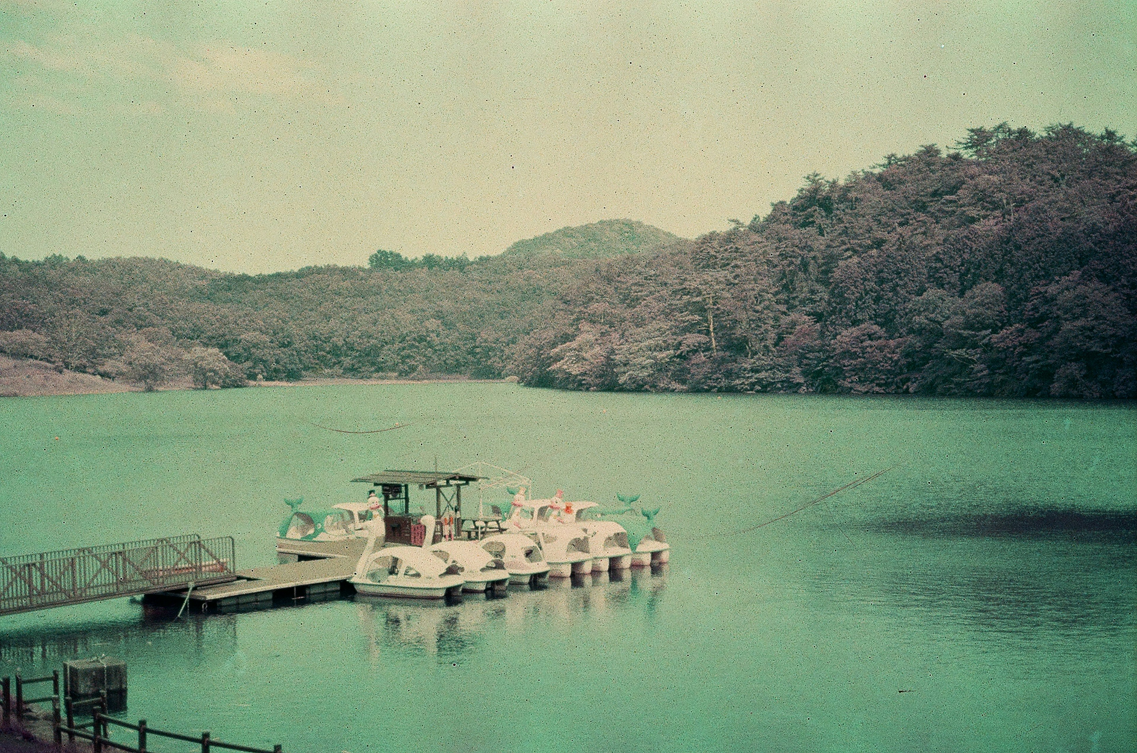 穏やかな湖と山々の風景に浮かぶボート