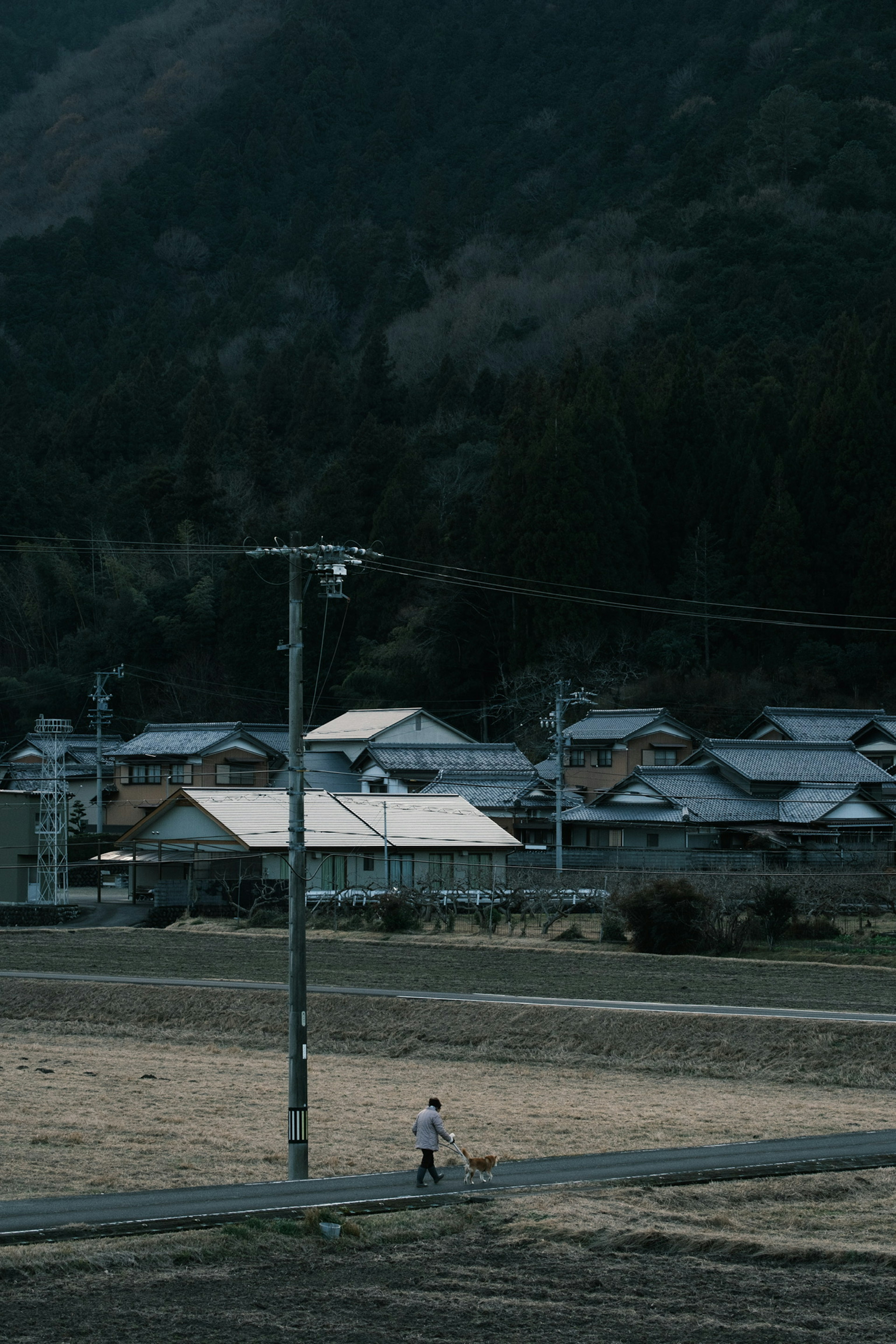 Paysage rural calme avec des montagnes et de petites maisons visibles