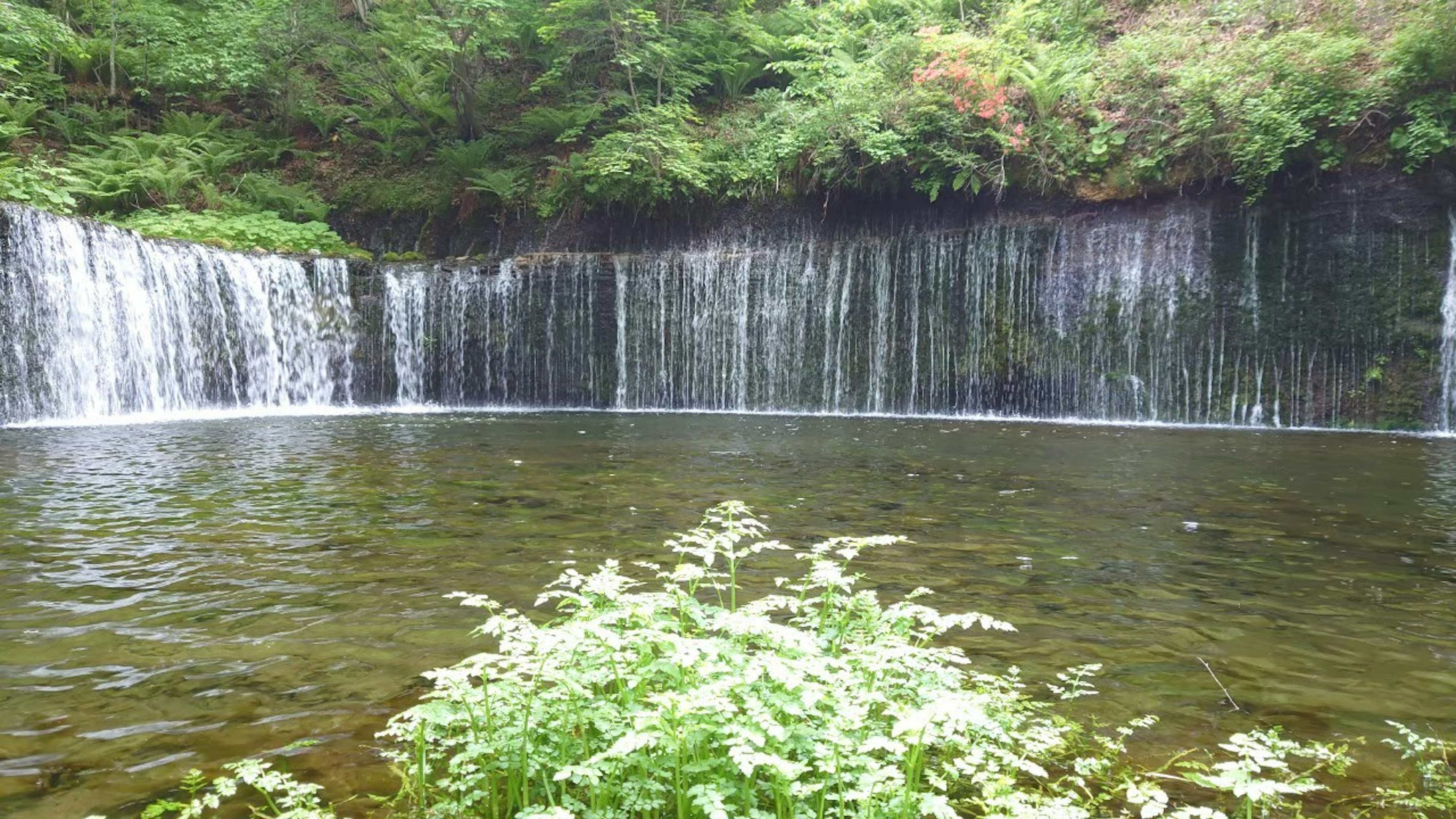 Vista panoramica di una cascata che scorre in uno stagno tranquillo con vegetazione lussureggiante