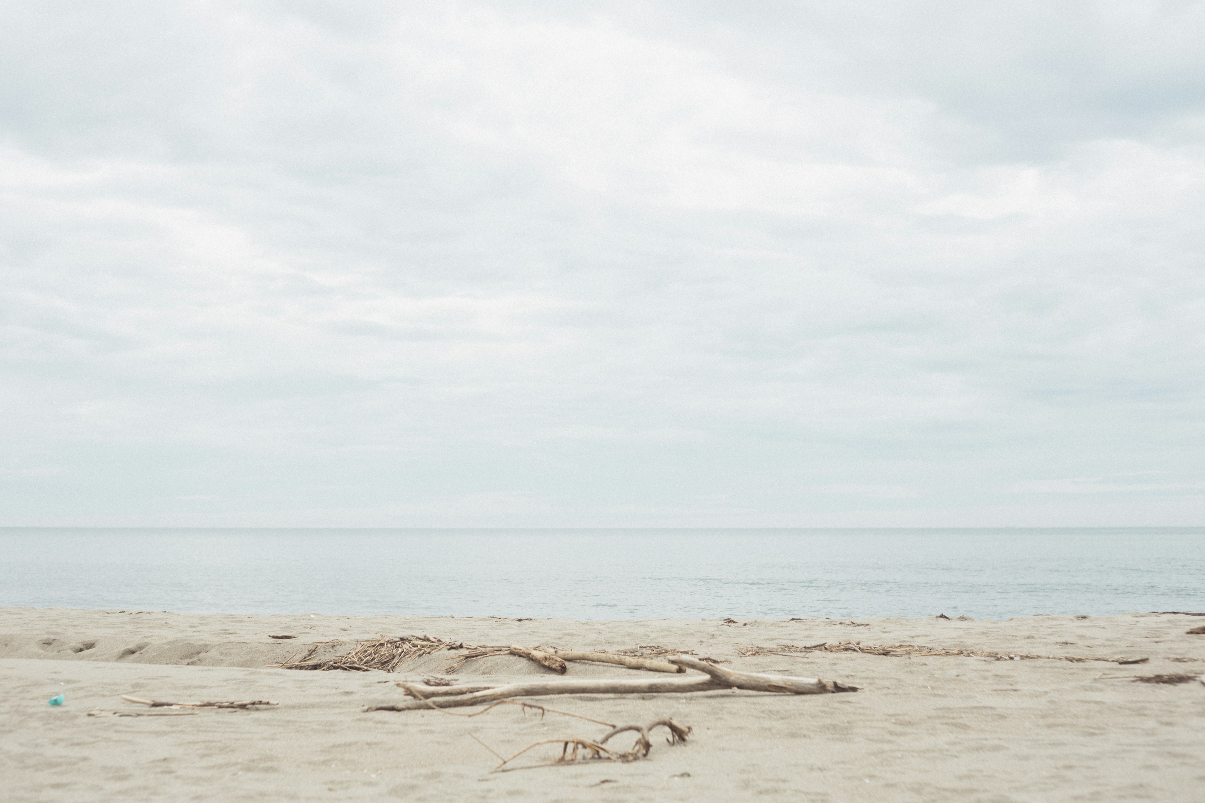 Calm beach scene with cloudy sky driftwood on the sand