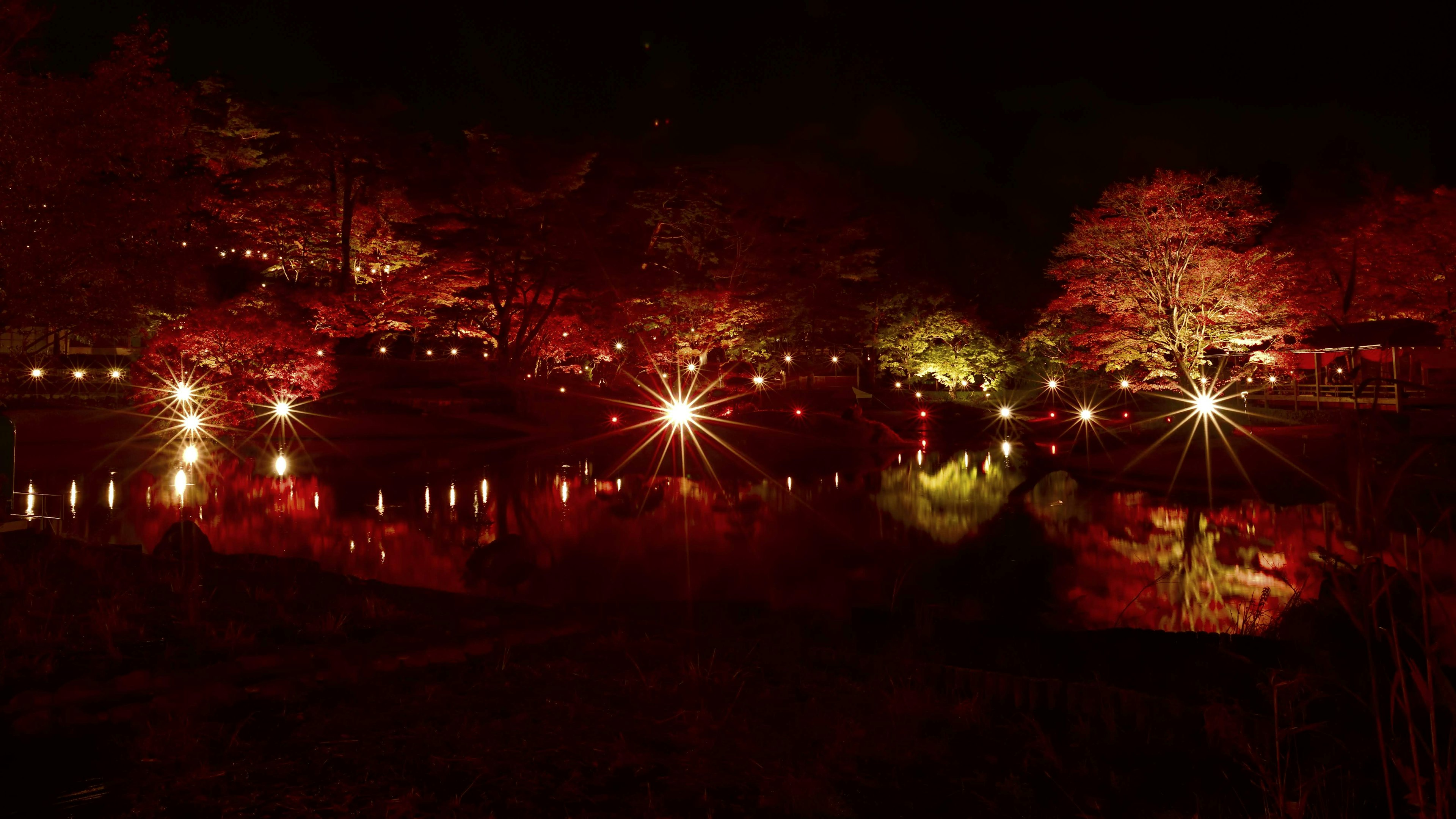 夜の庭園に照明が映える美しい風景