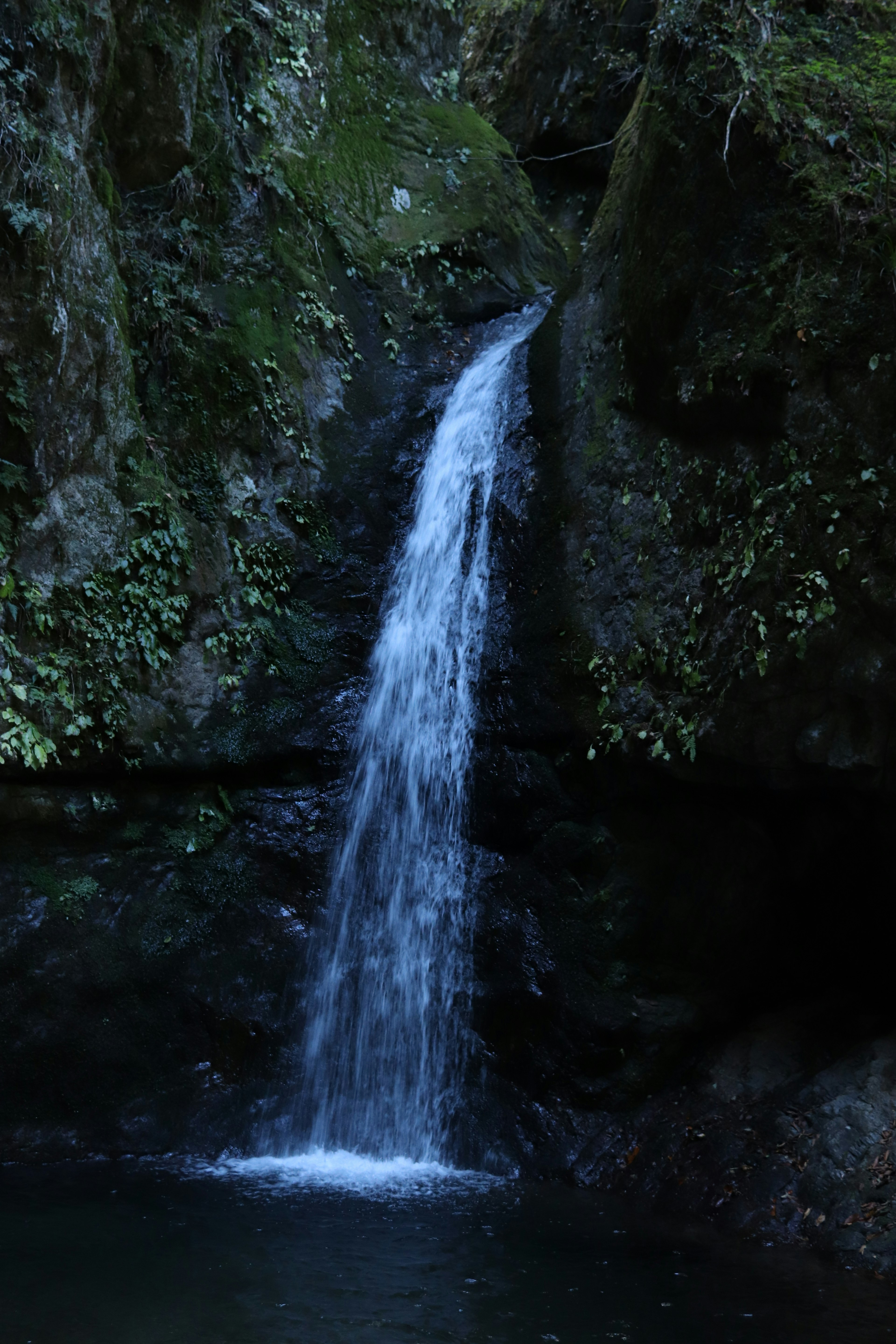 Ein kleiner Wasserfall, der zwischen Felsen in einer üppigen grünen Umgebung fließt