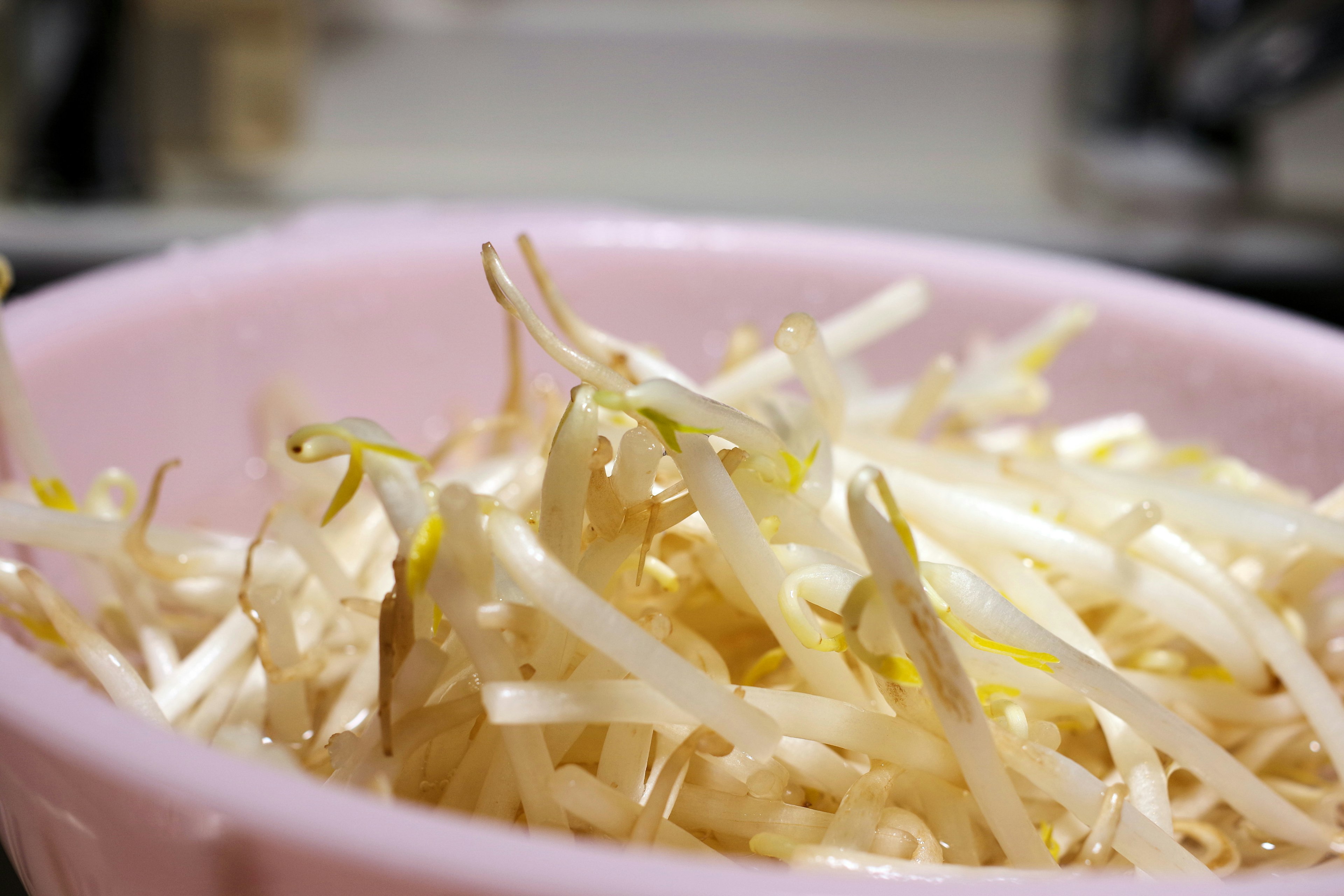 Light-colored bean sprouts in a pink bowl