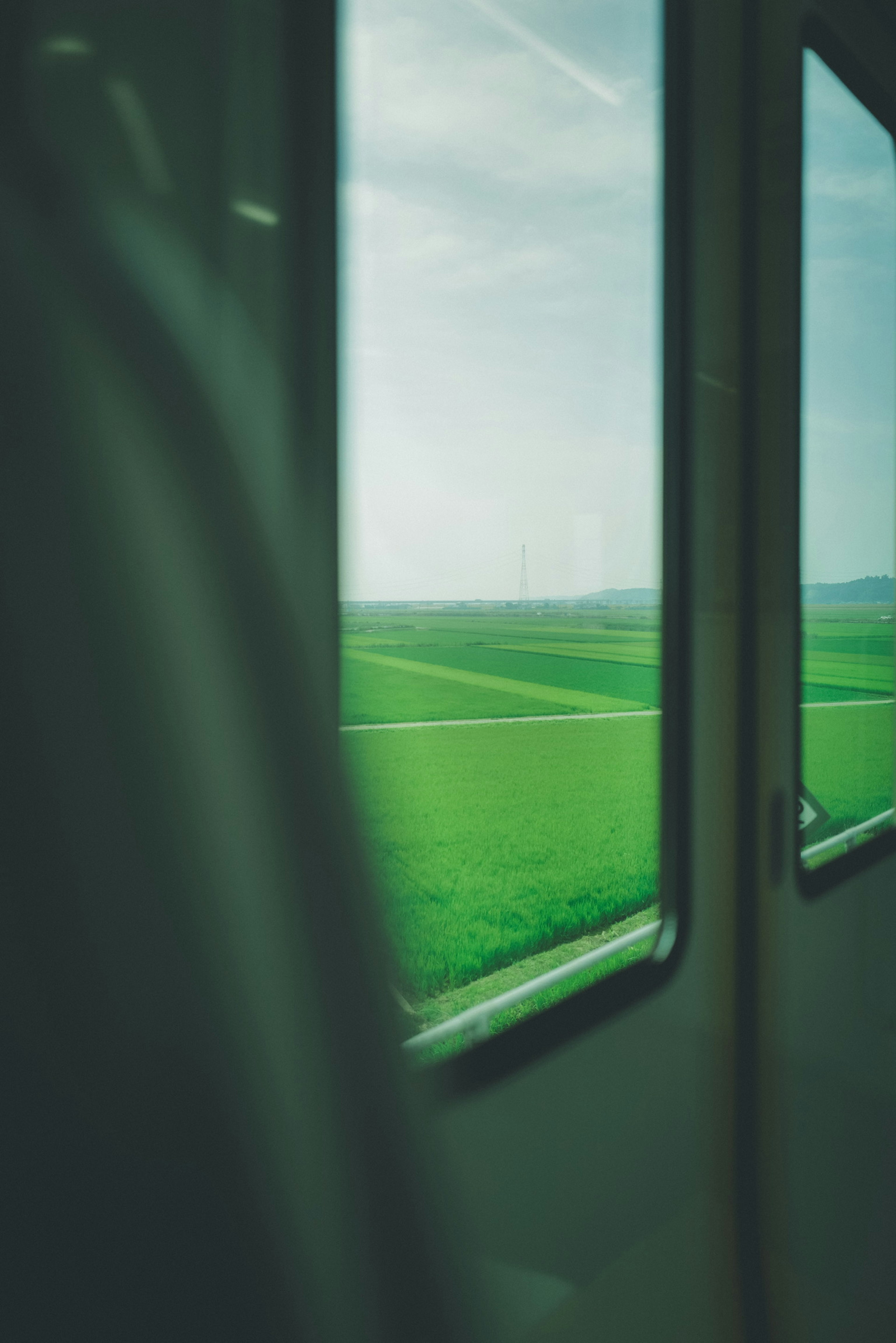 Lush green fields seen through a train window