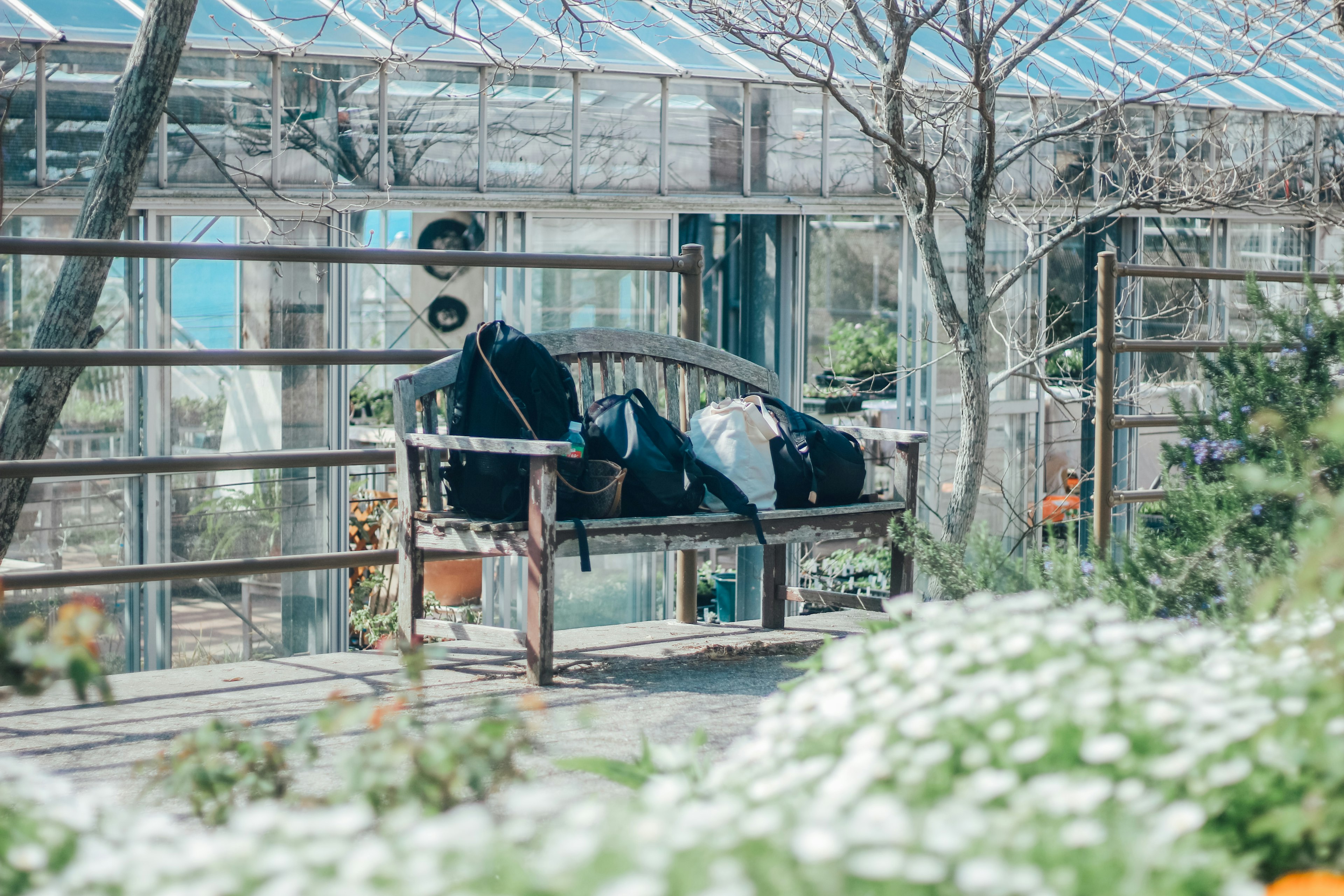 Backpacks resting on a wooden bench surrounded by flowers