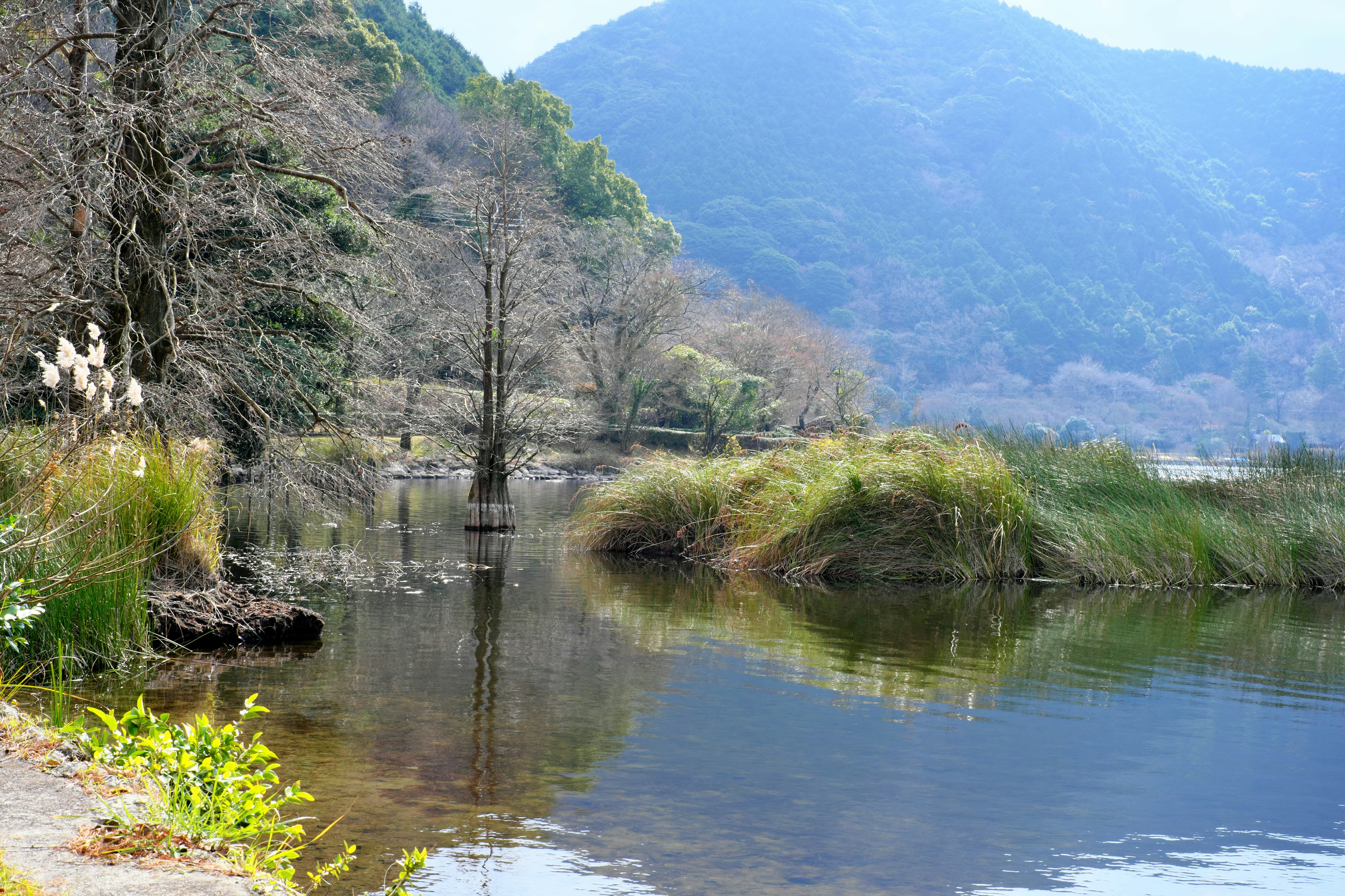 Serene lake surrounded by mountains and trees