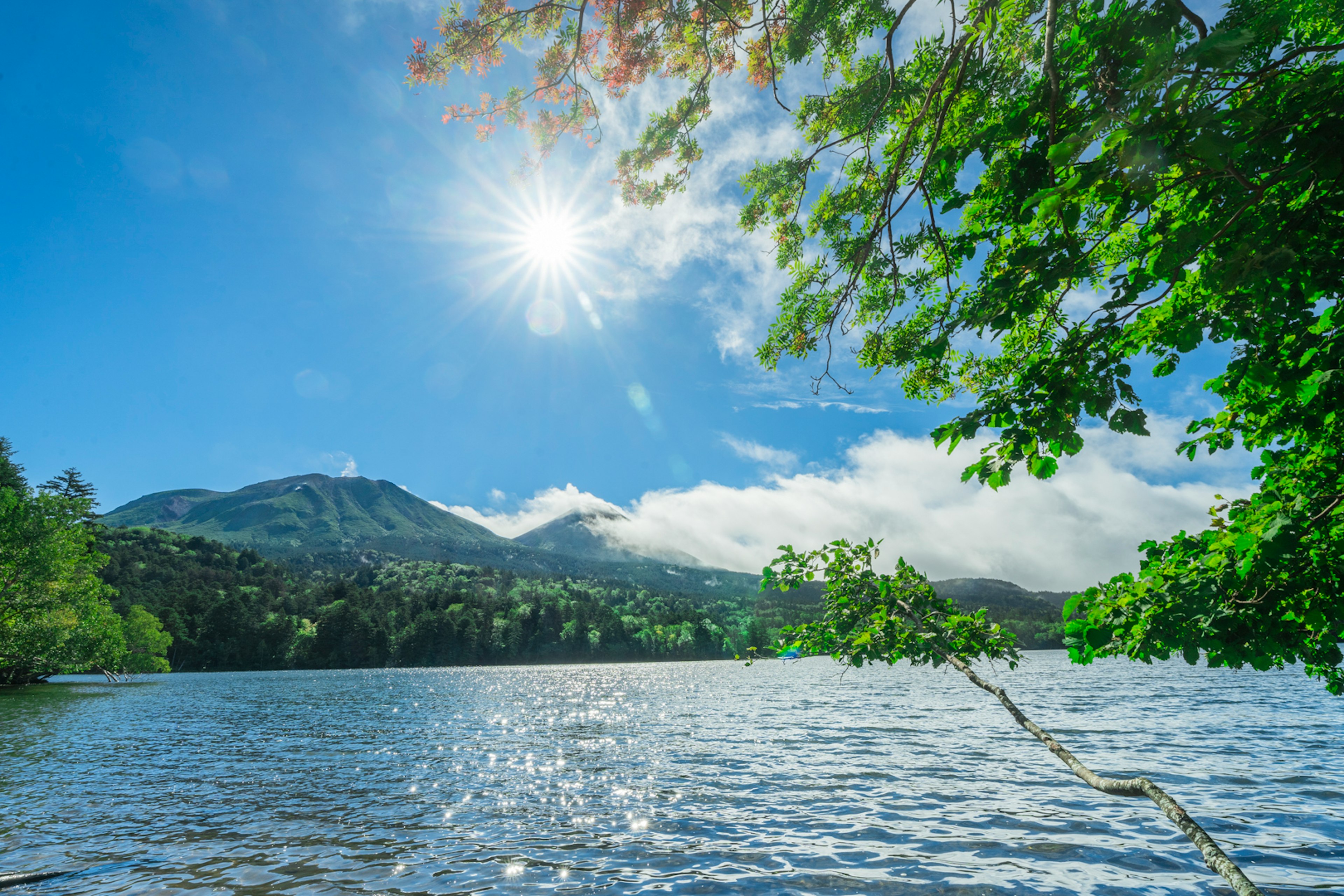 Vista panoramica di un lago che riflette la luce del sole con alberi verdi lussureggianti e montagne sullo sfondo