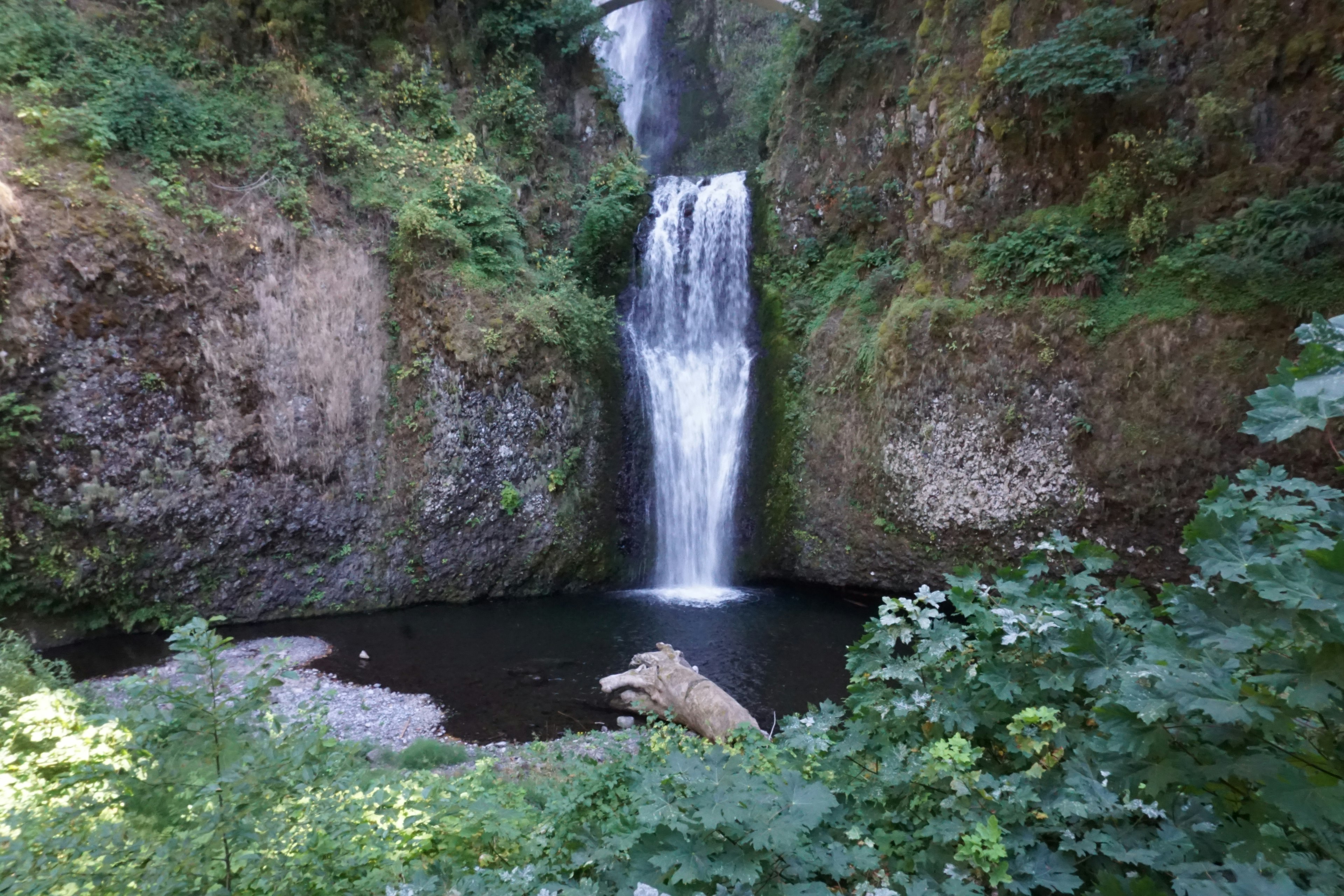 Air terjun yang indah dikelilingi oleh pepohonan hijau