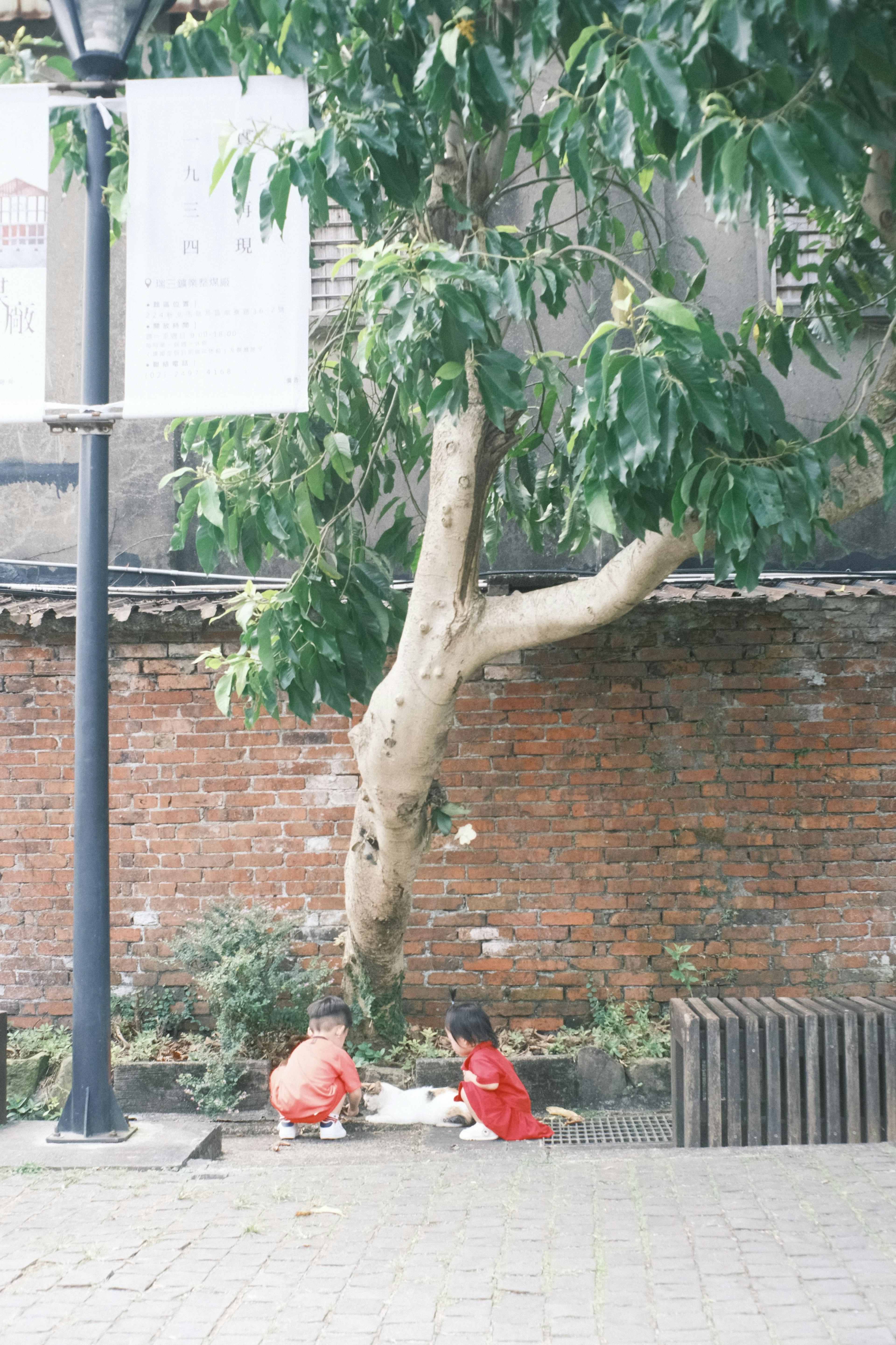 Deux enfants en vêtements rouges assis sous un arbre près d'un mur en briques