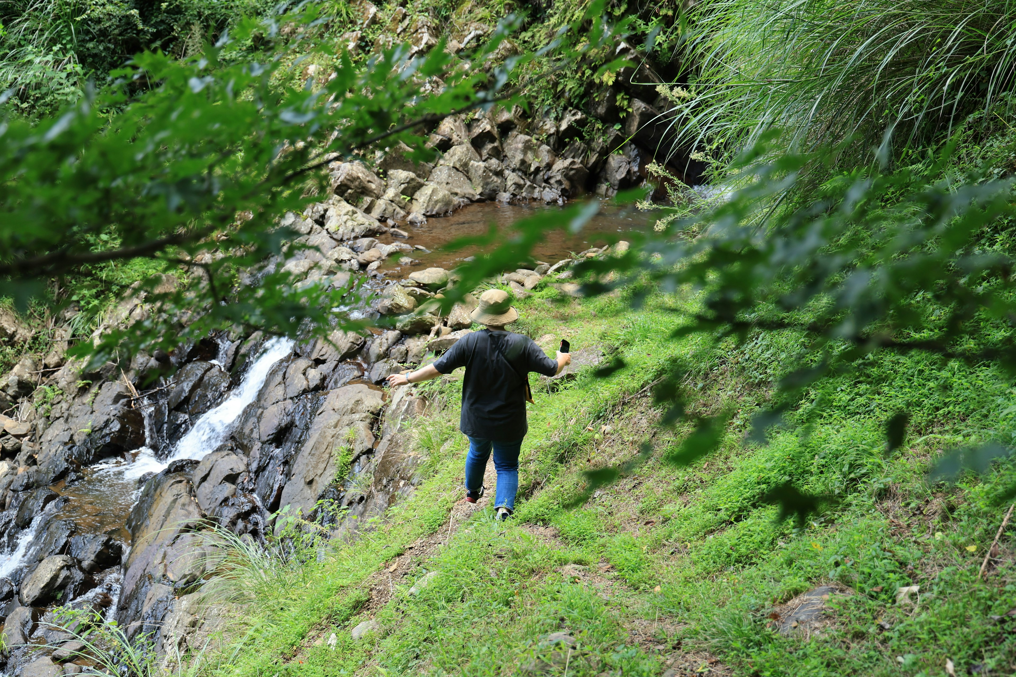 緑豊かな草原に立つ人物が小川の近くを歩いている風景