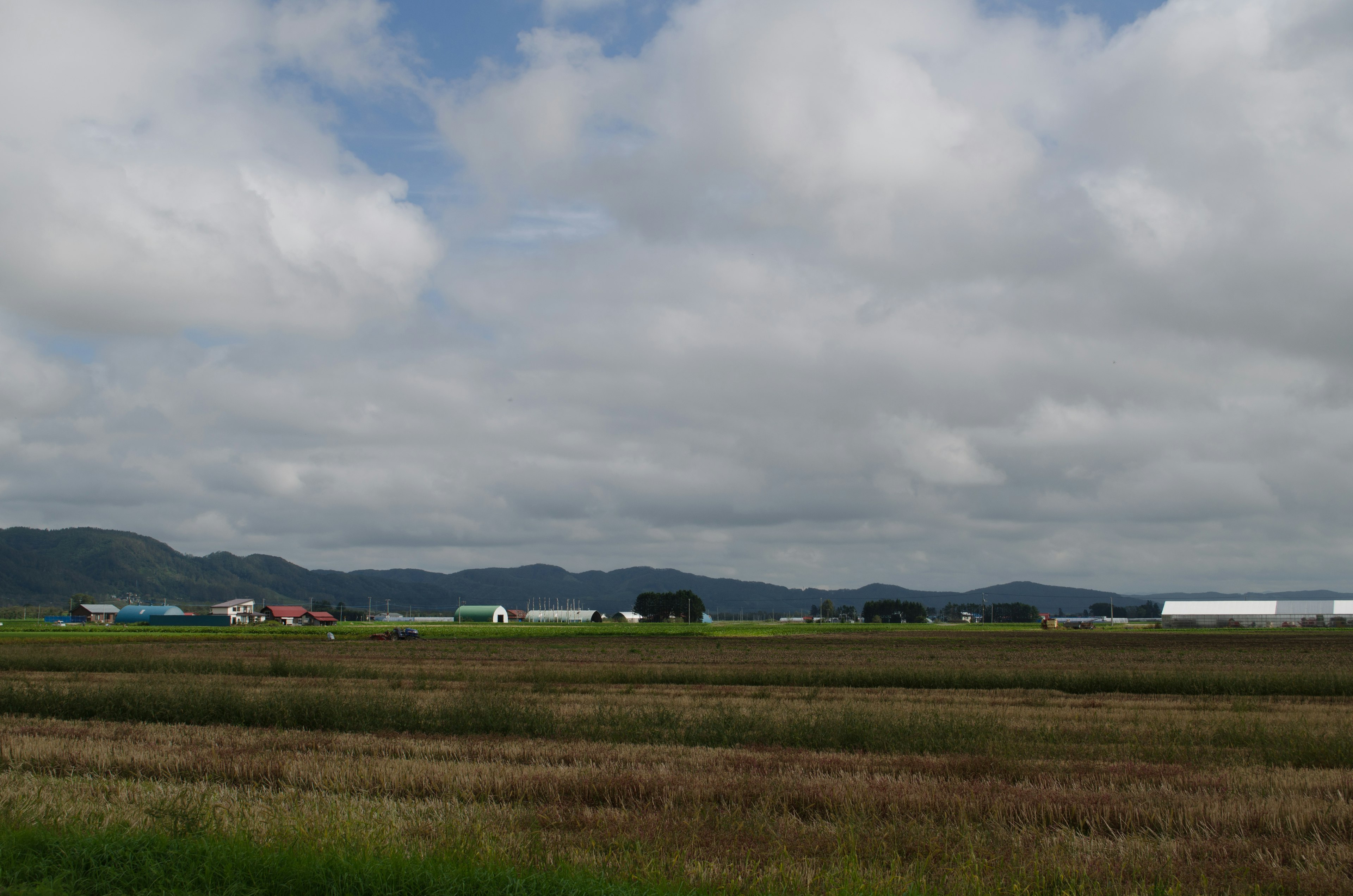 Expansive farmland under a cloudy sky