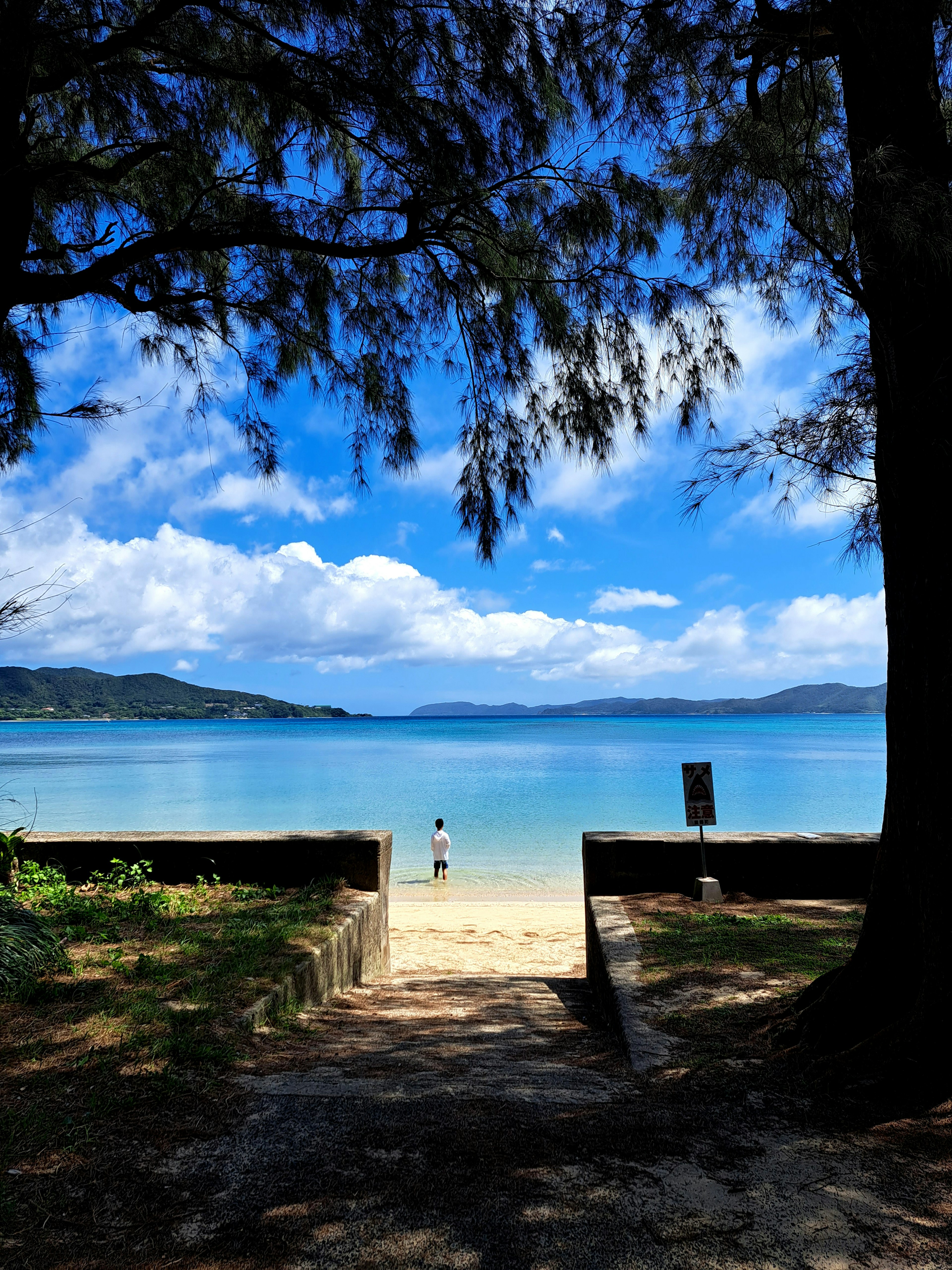 海滩的美丽景色，清澈的蓝水和明亮的天空