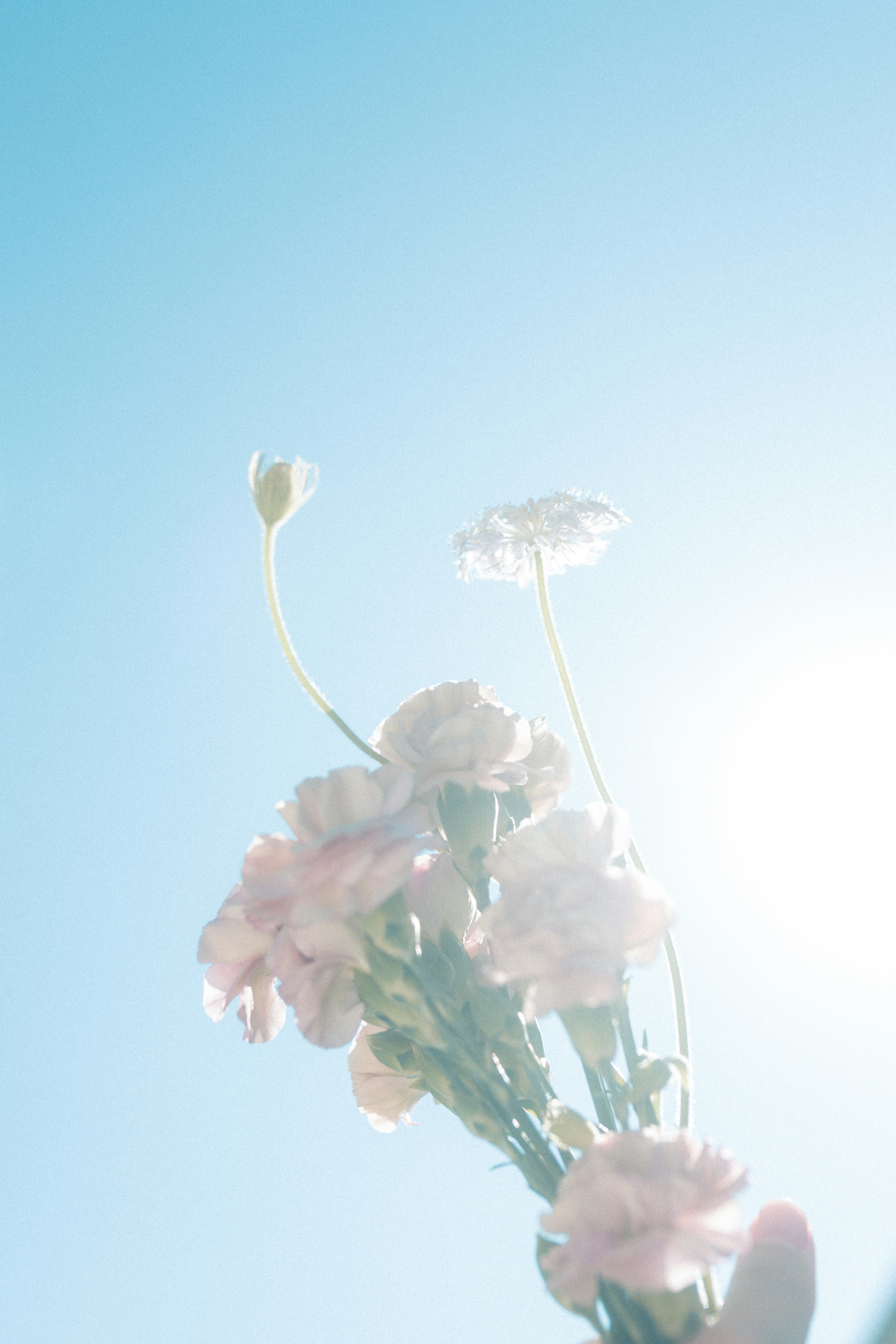 A bouquet of flowers held up against a bright blue sky