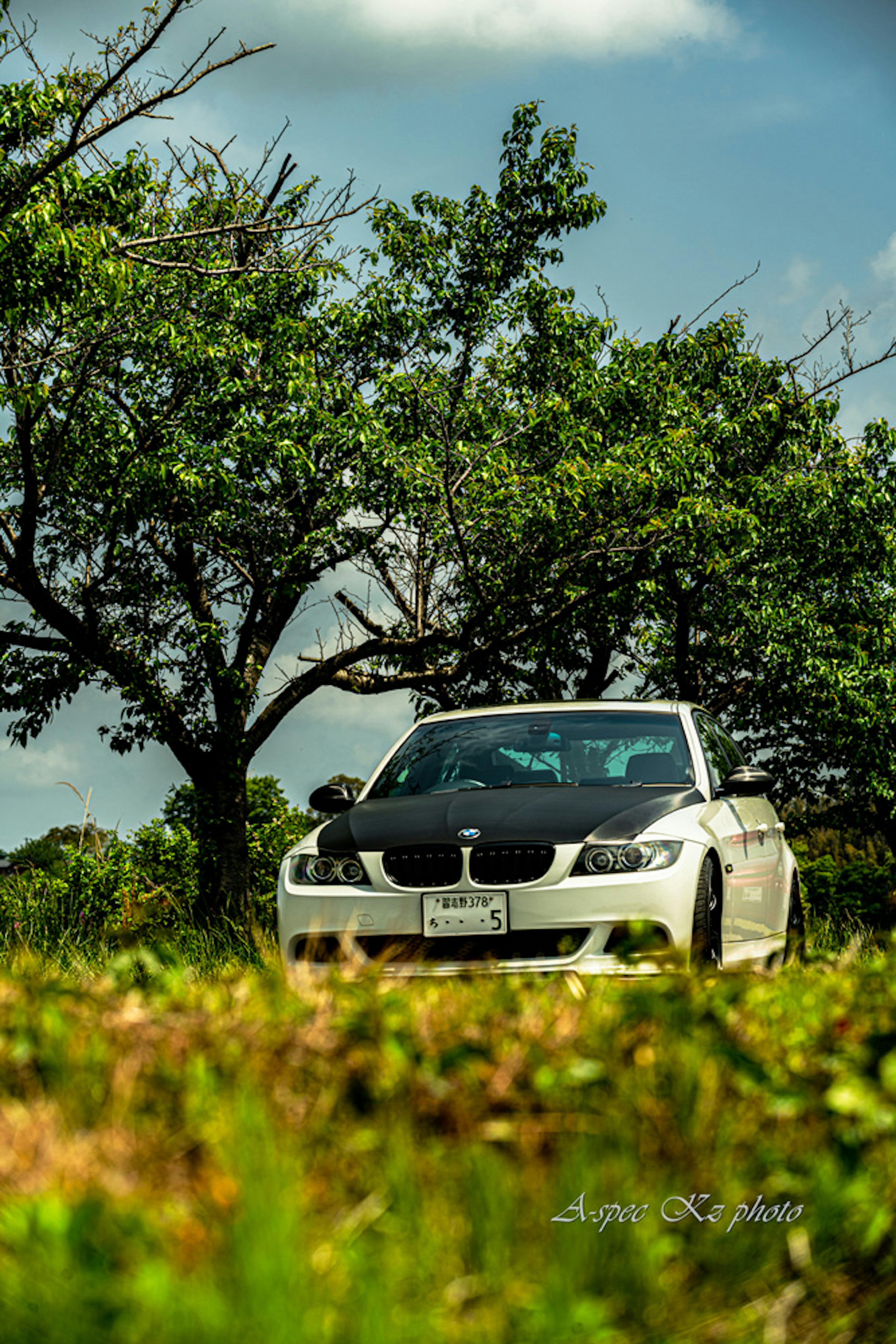 Un BMW blanco estacionado en un campo verde con árboles al fondo