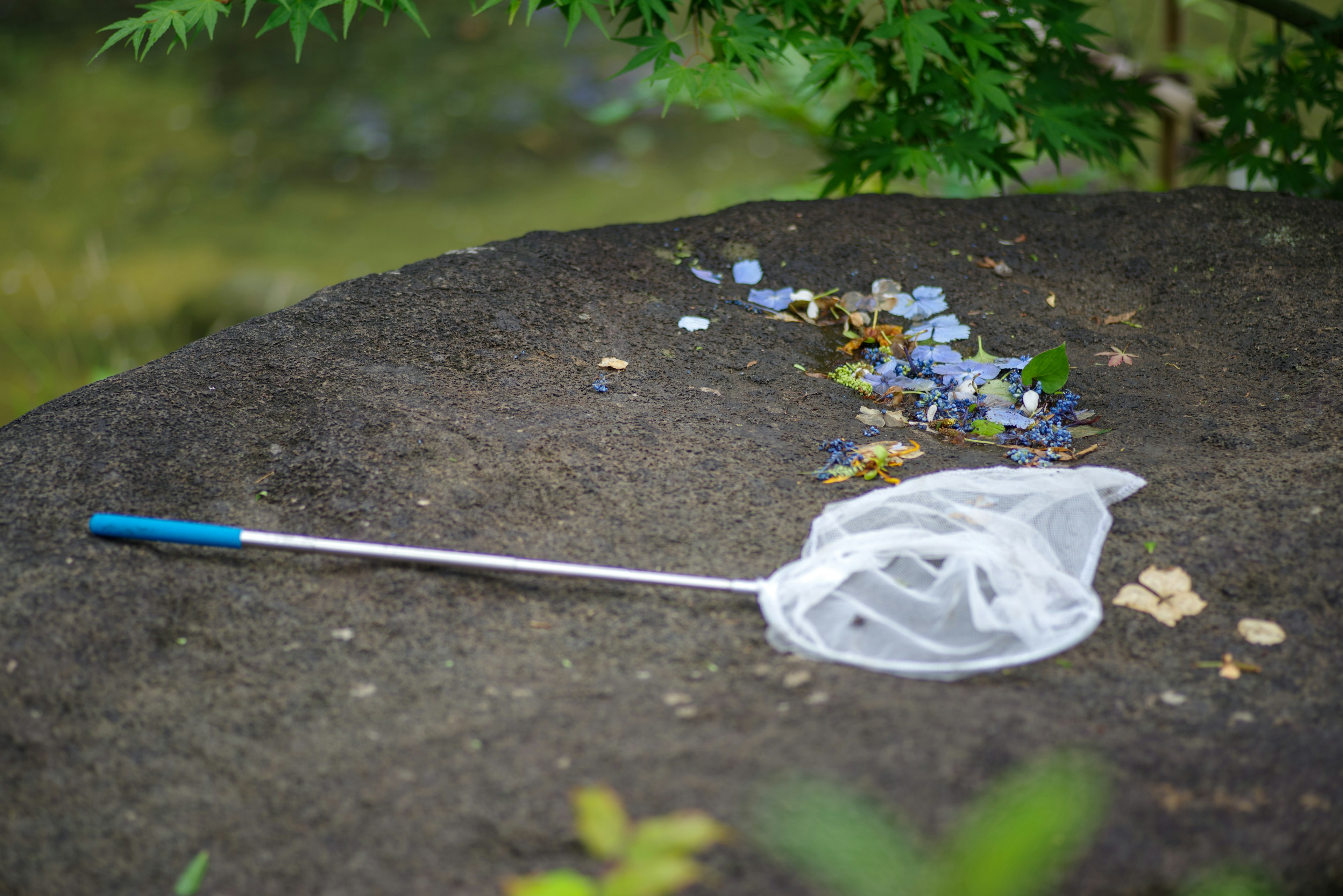 A white net resting on a rock near a pond with colorful pebbles scattered around