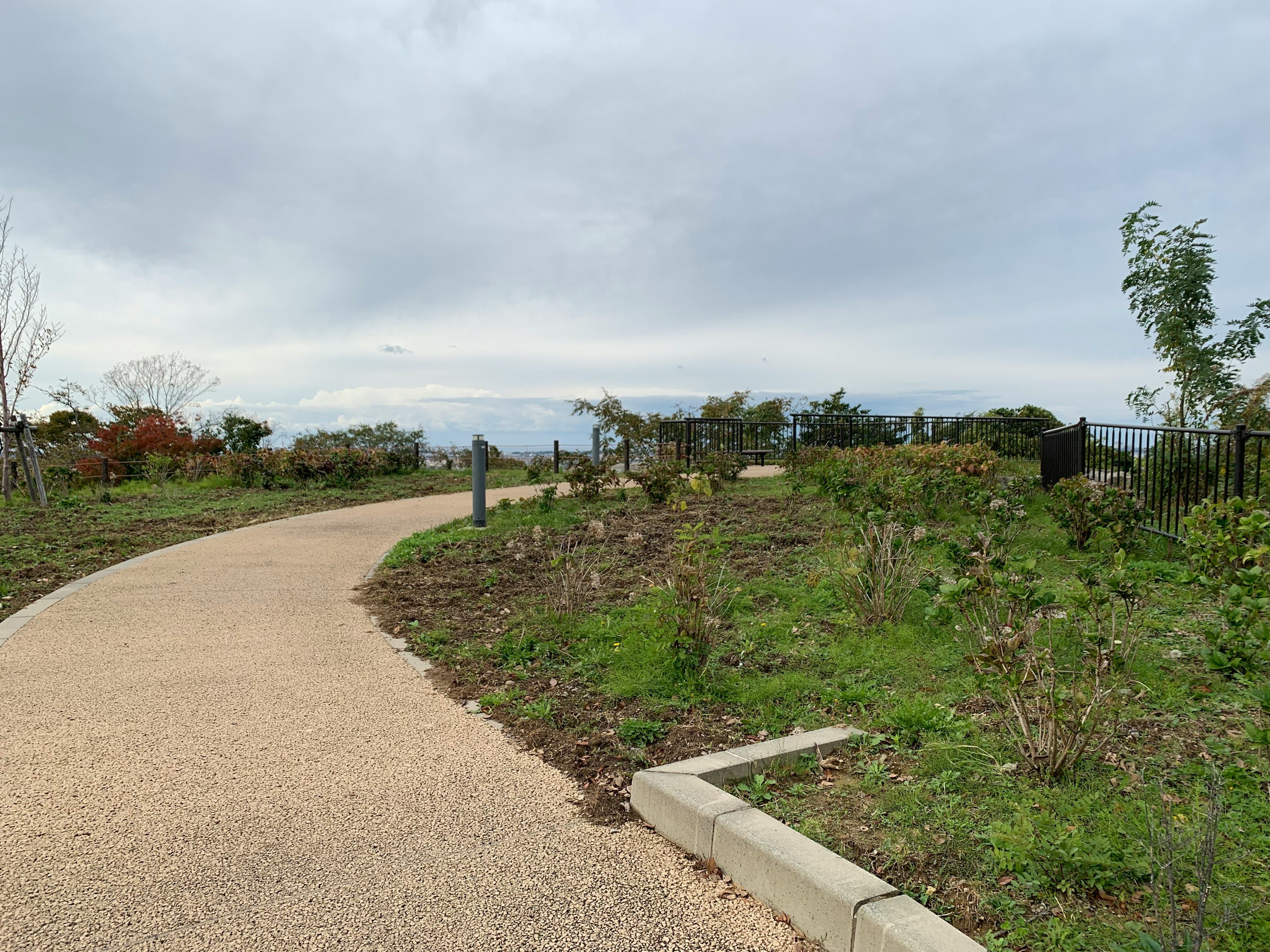 舗装された道と植えられた緑の植物が見える公園の風景