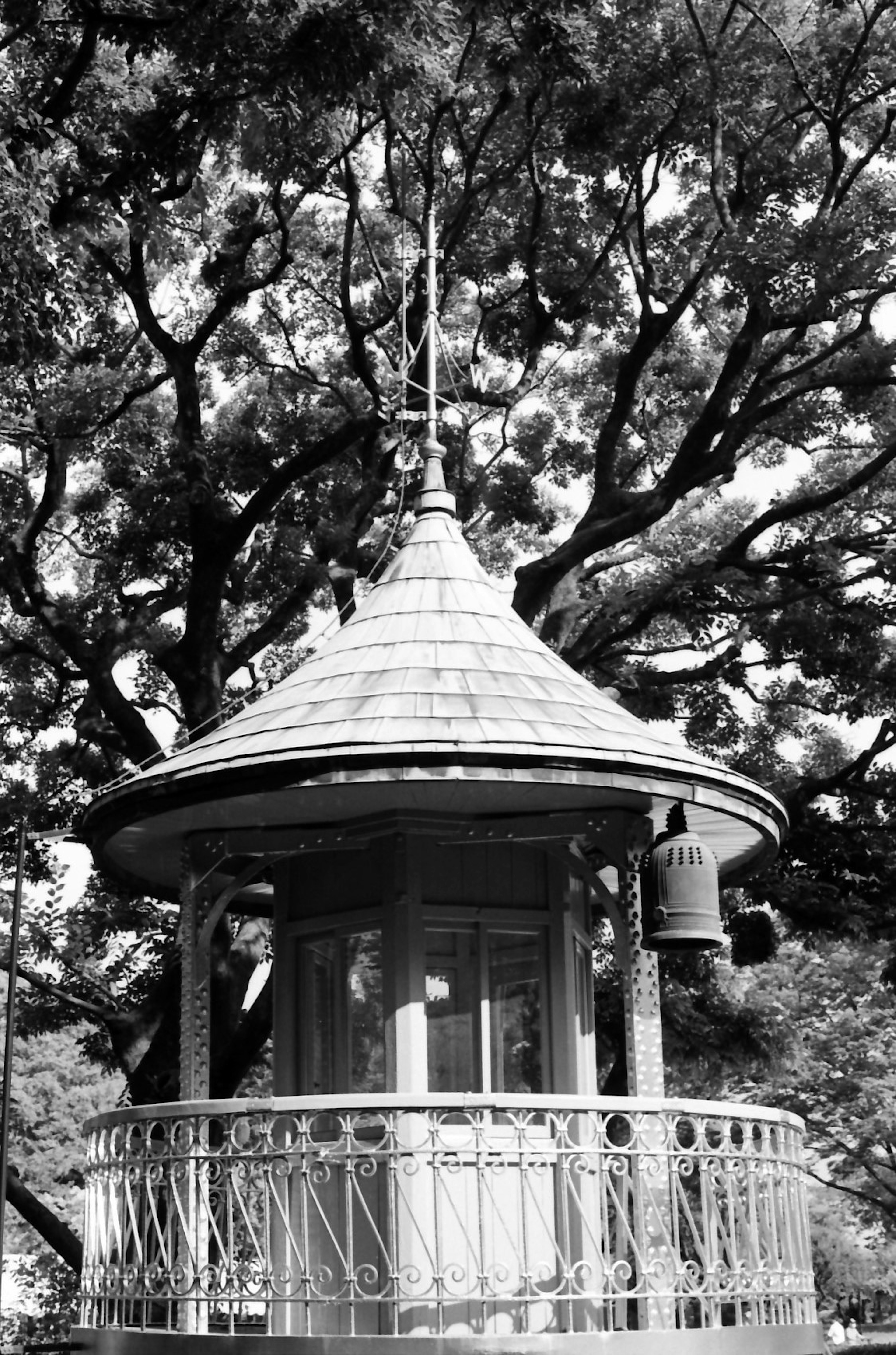 Schwarzer und weißer Pavillon umgeben von großen Baumzweigen