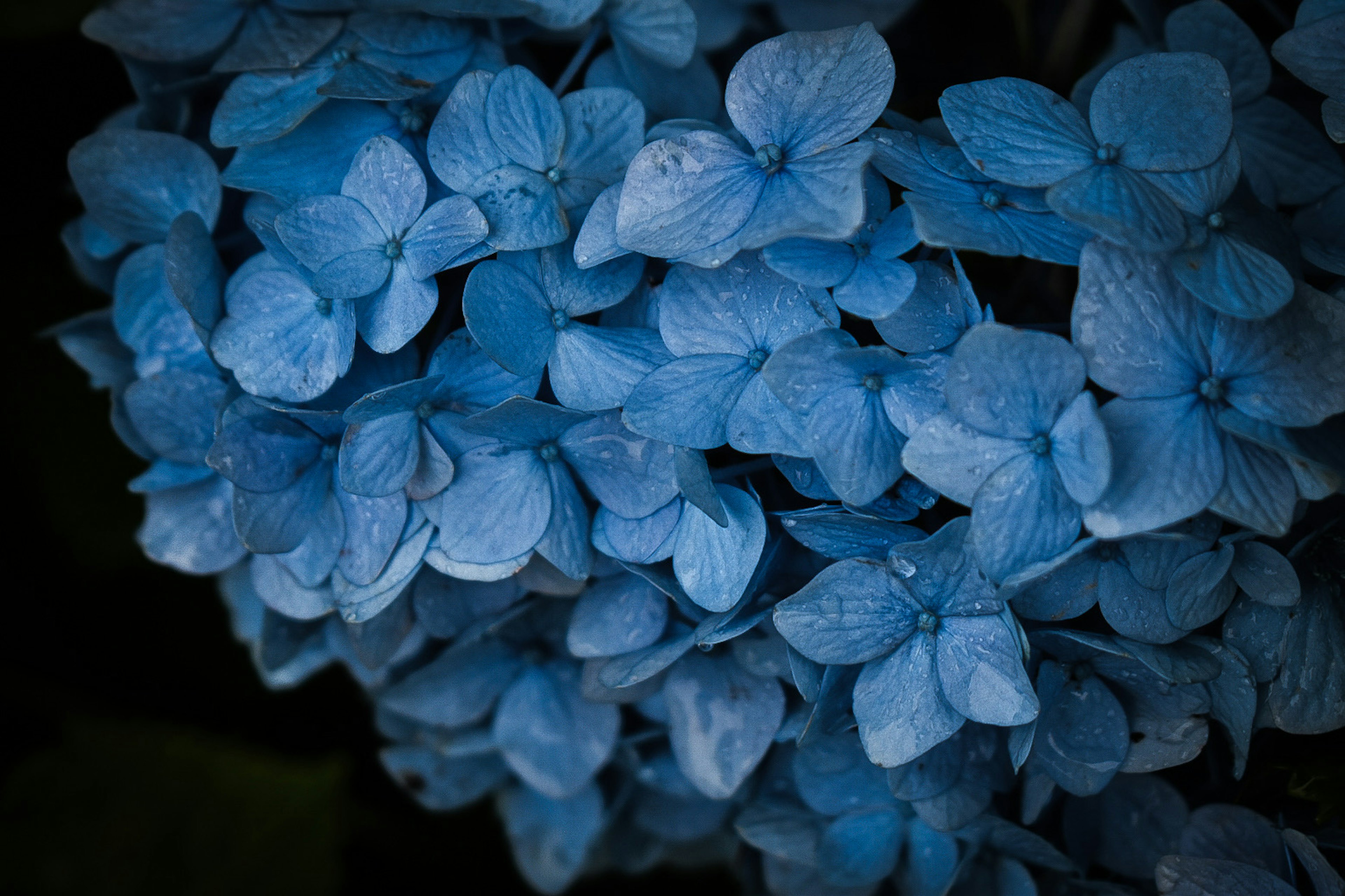 photo-rVc58iDKMp0L6RN8J2TI-image