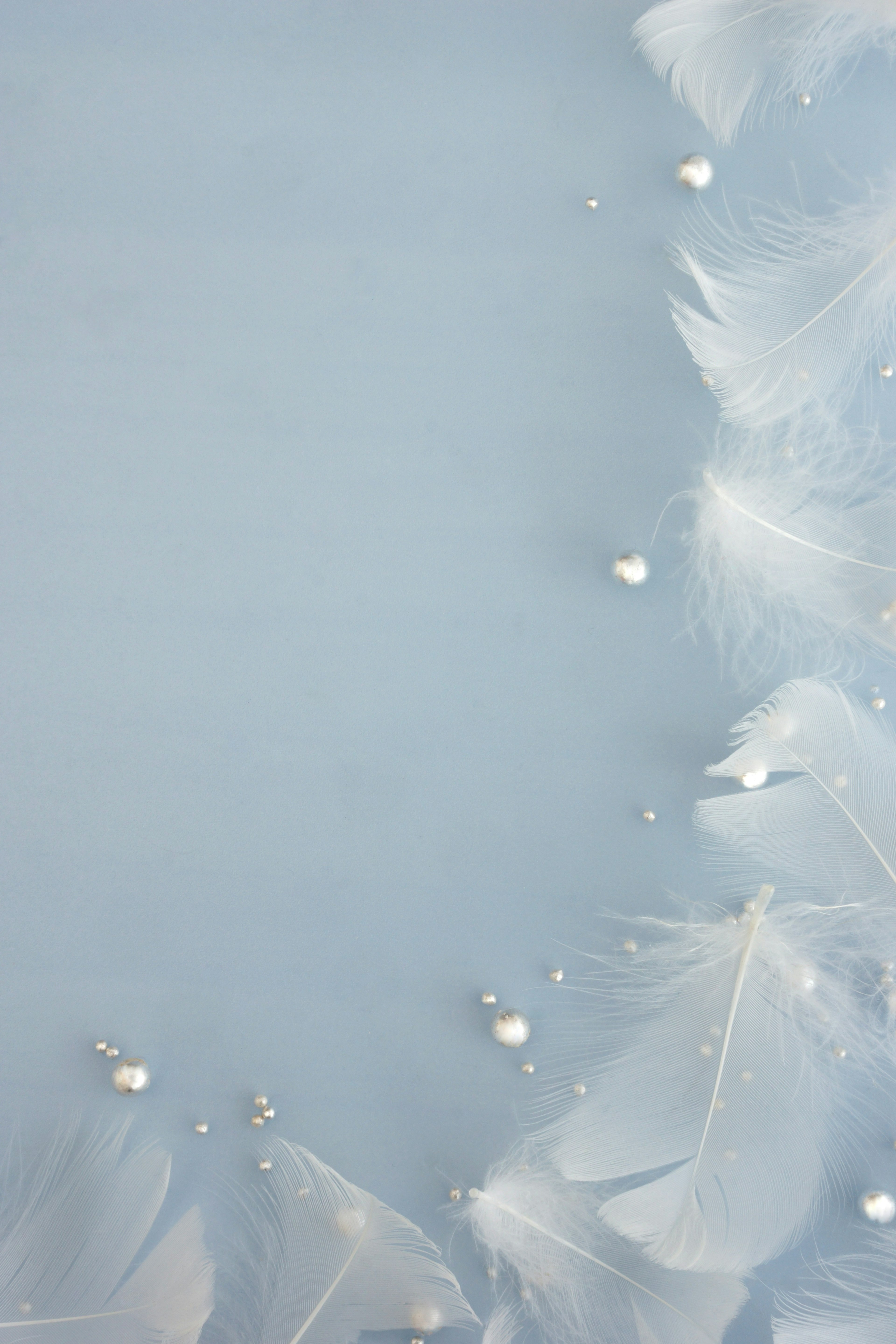 Light blue background with white feathers arranged and small shiny beads scattered