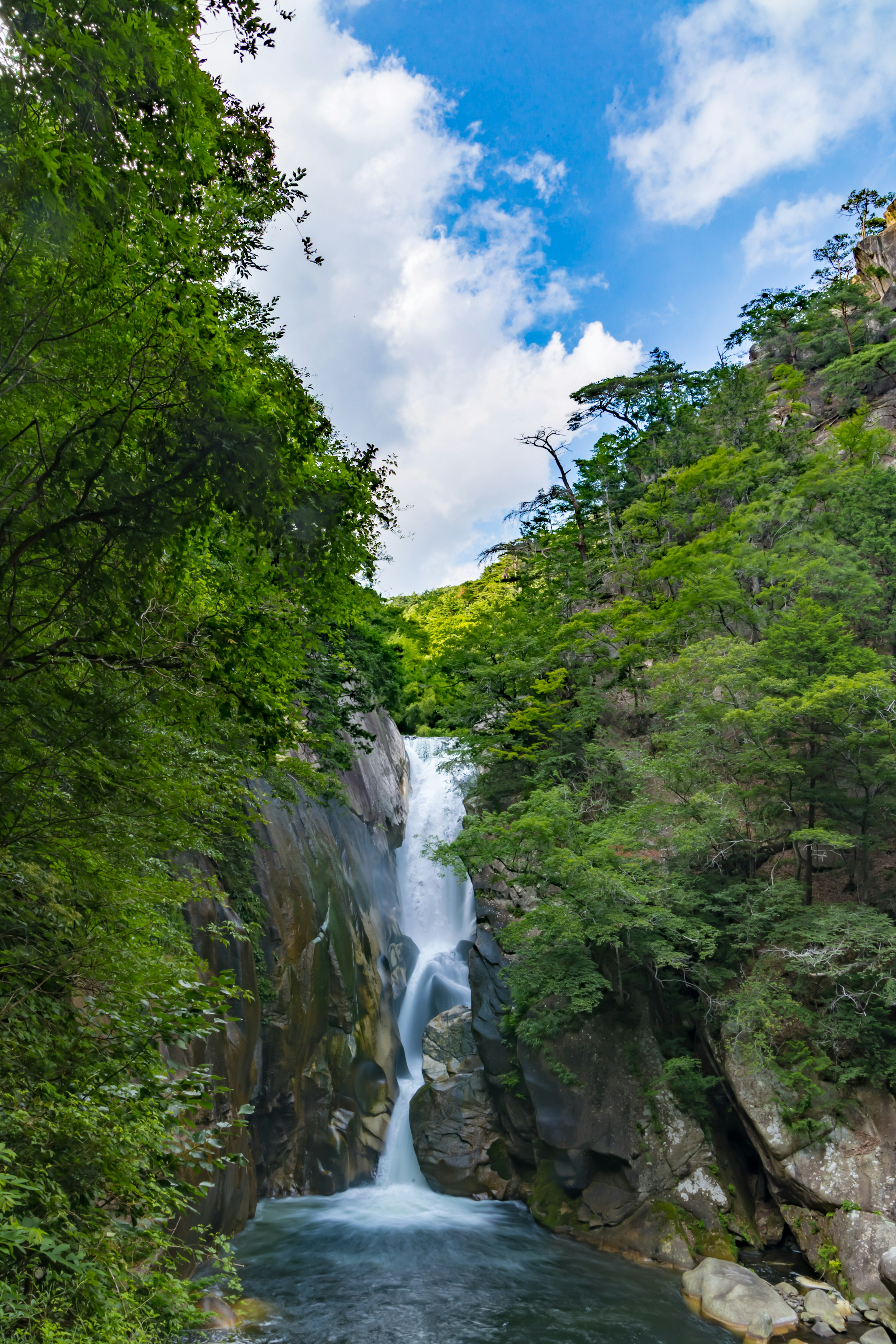 A waterfall surrounded by lush greenery and a blue sky