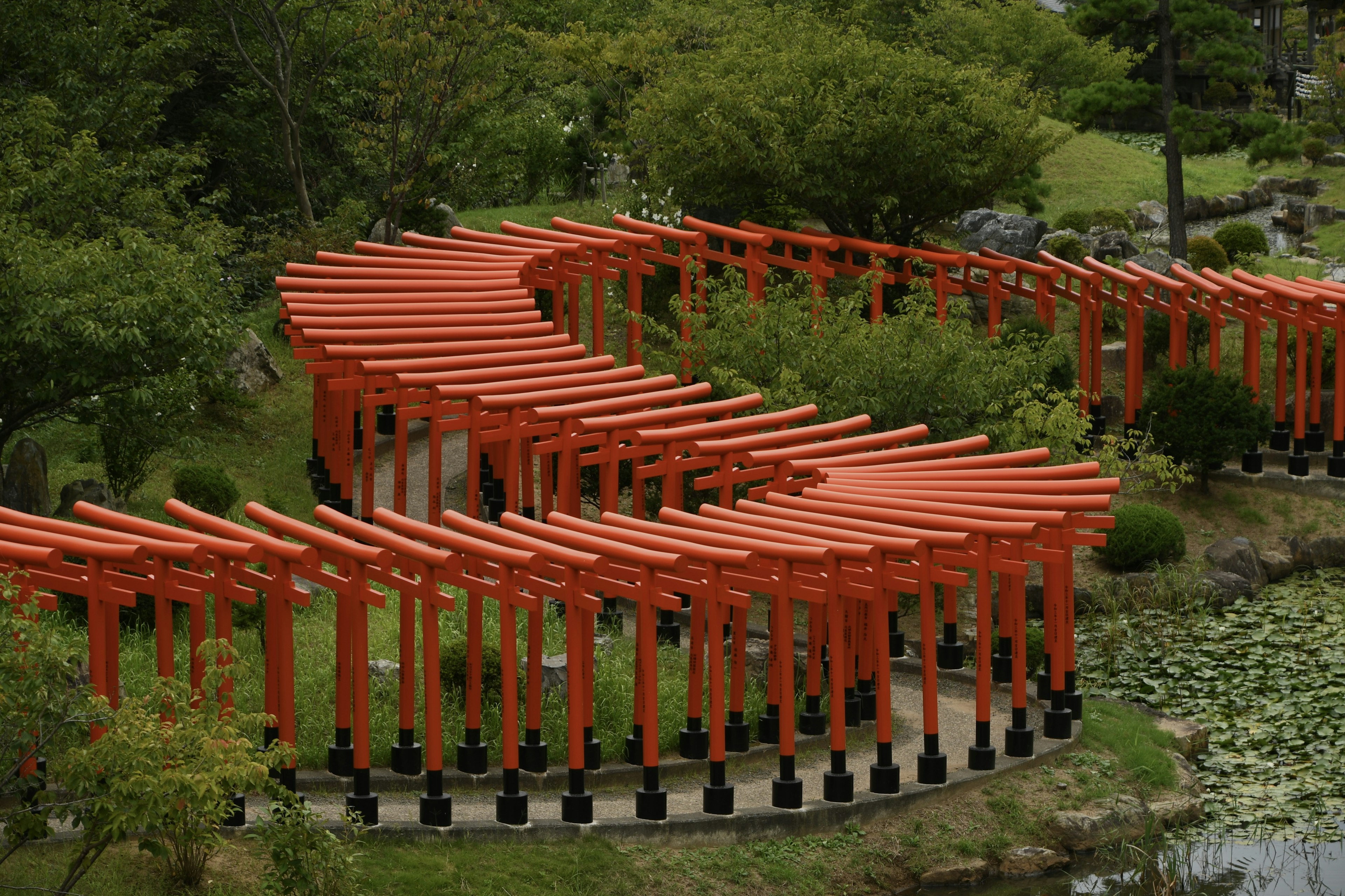 Curved pathway of red torii gates in a green garden