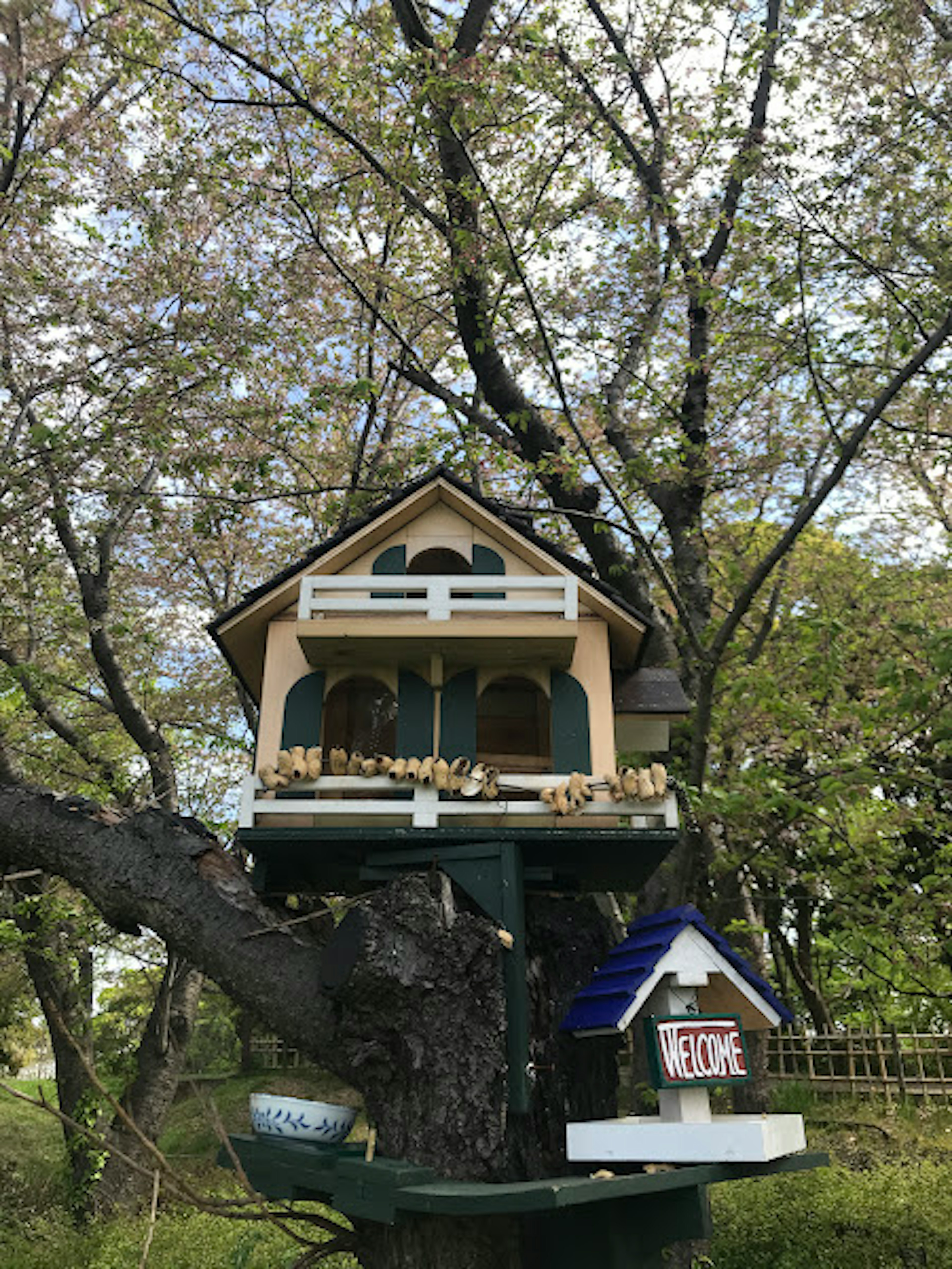 Una encantadora casa para pájaros unida a un árbol con vegetación circundante