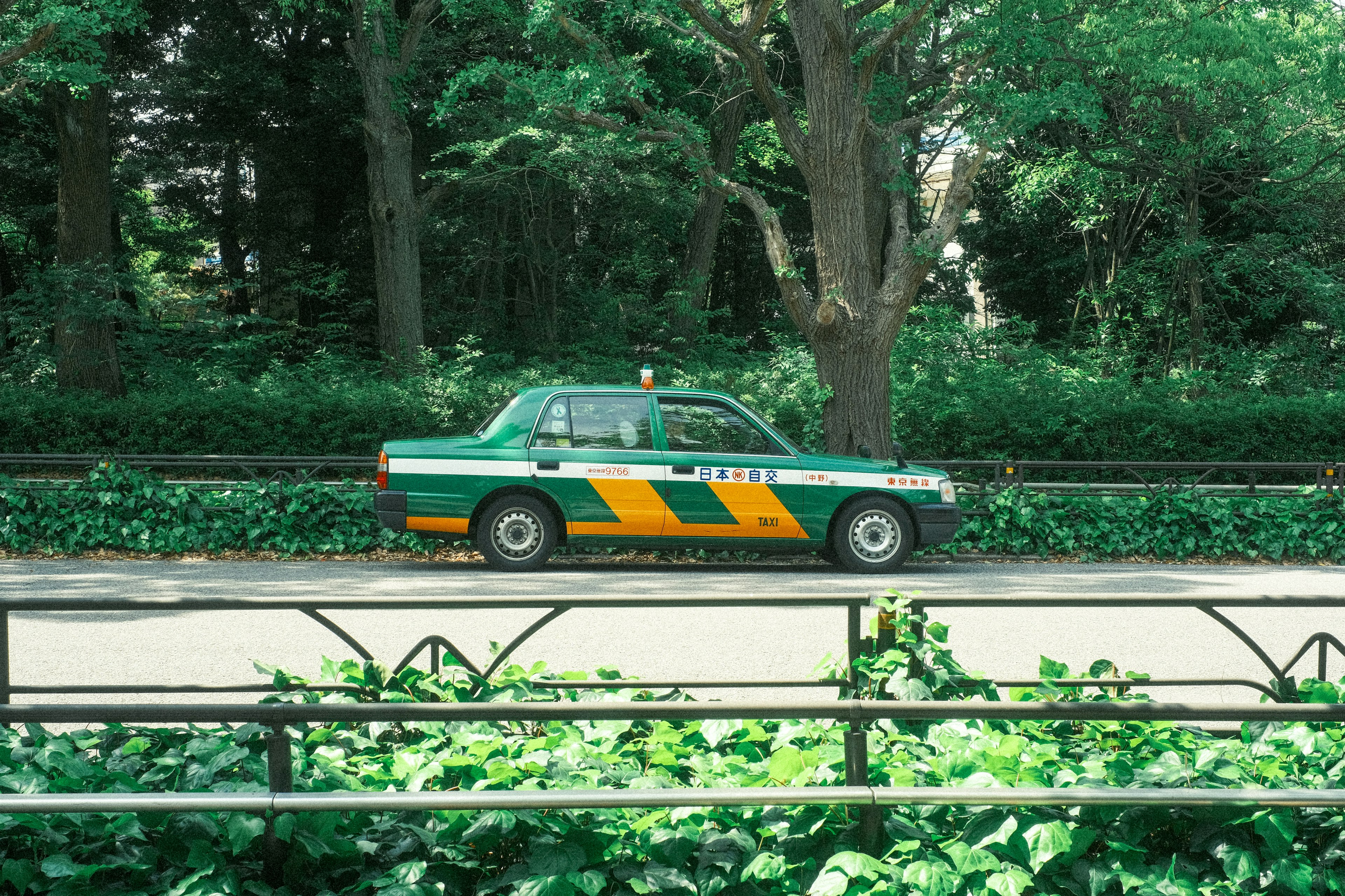 Taxi vert et jaune circulant sur une route entourée de verdure