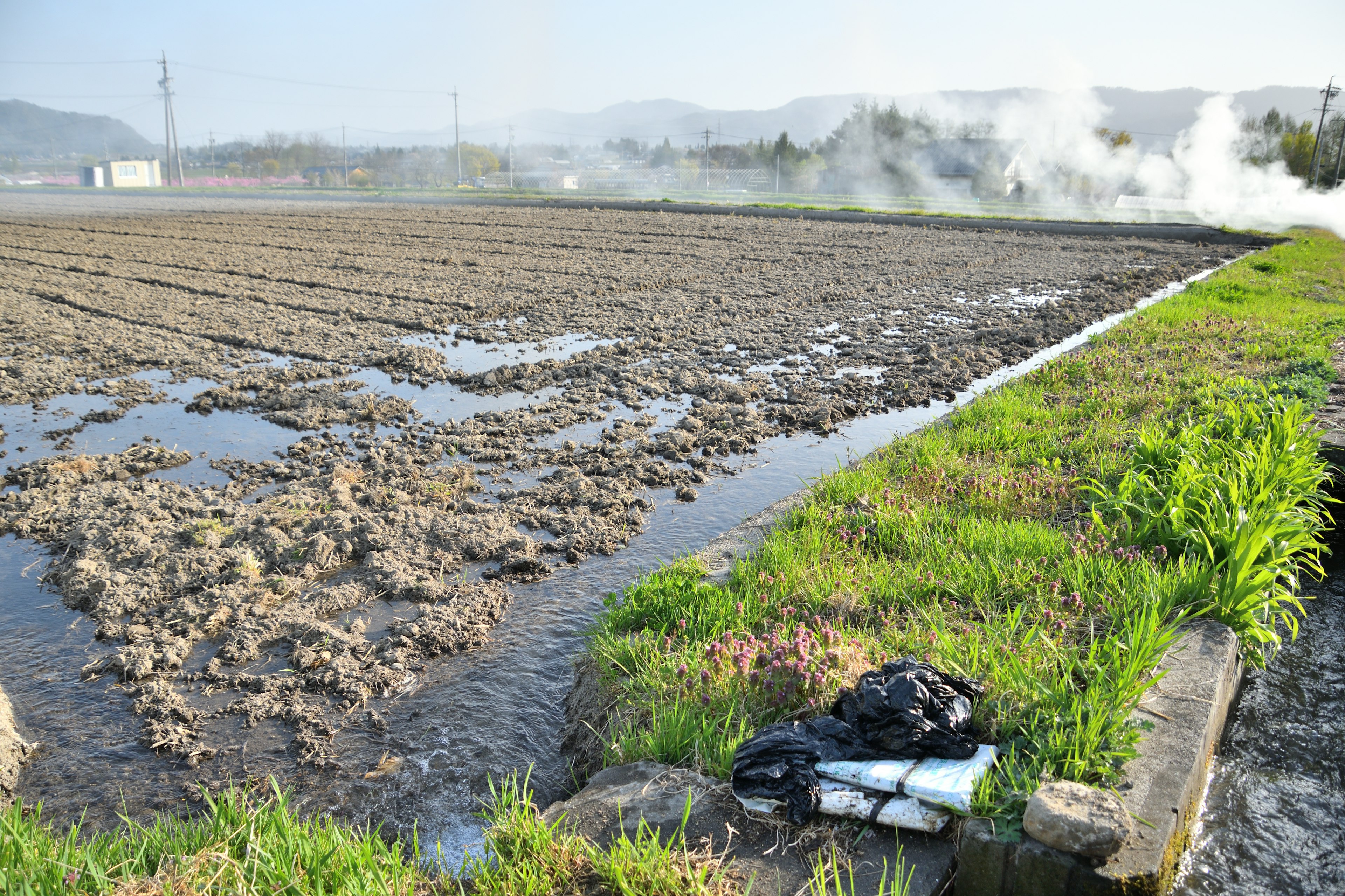 水田の畑と周囲の風景が広がっている写真