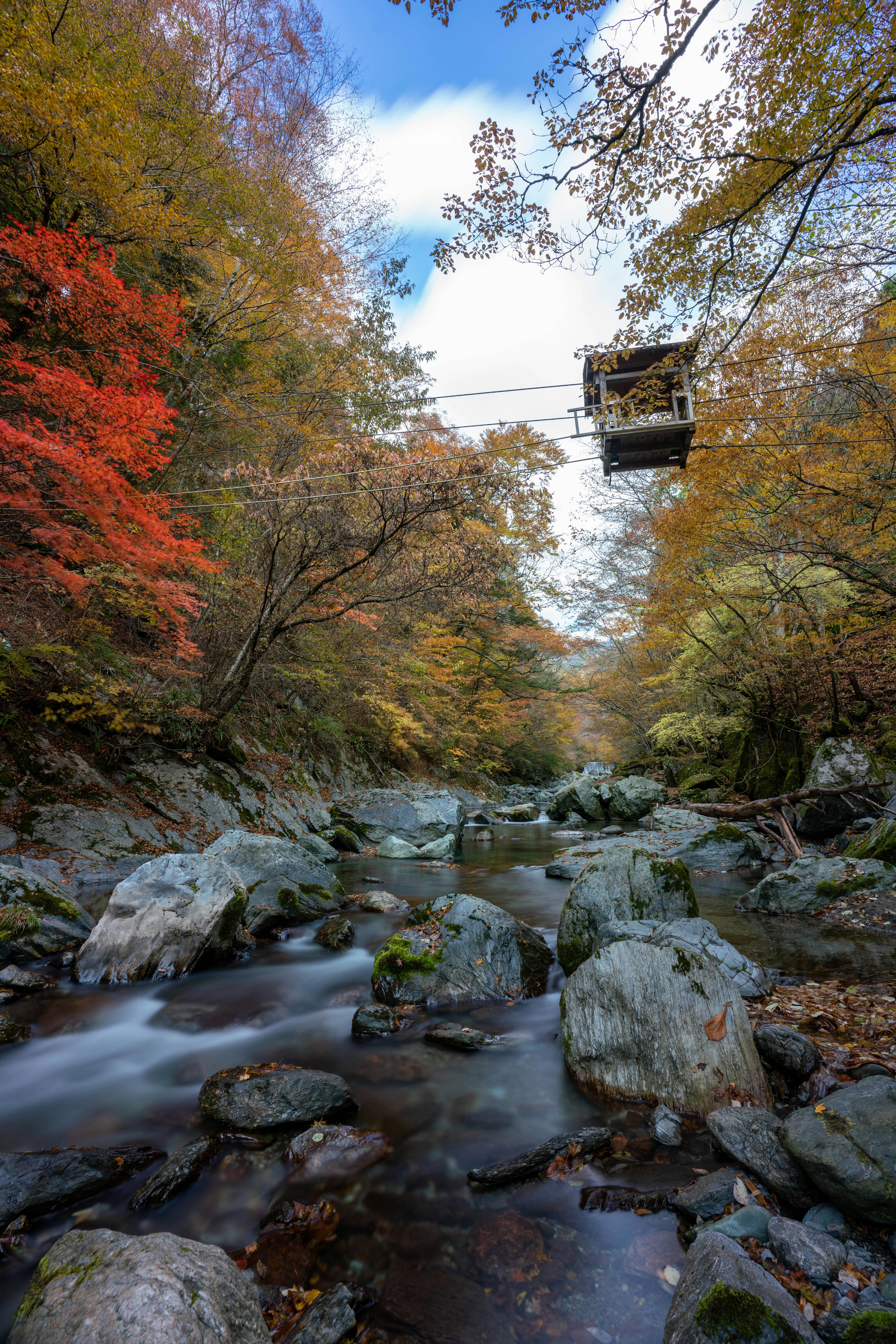 紅葉した木々と川を流れる美しい風景の中に吊り橋が見える