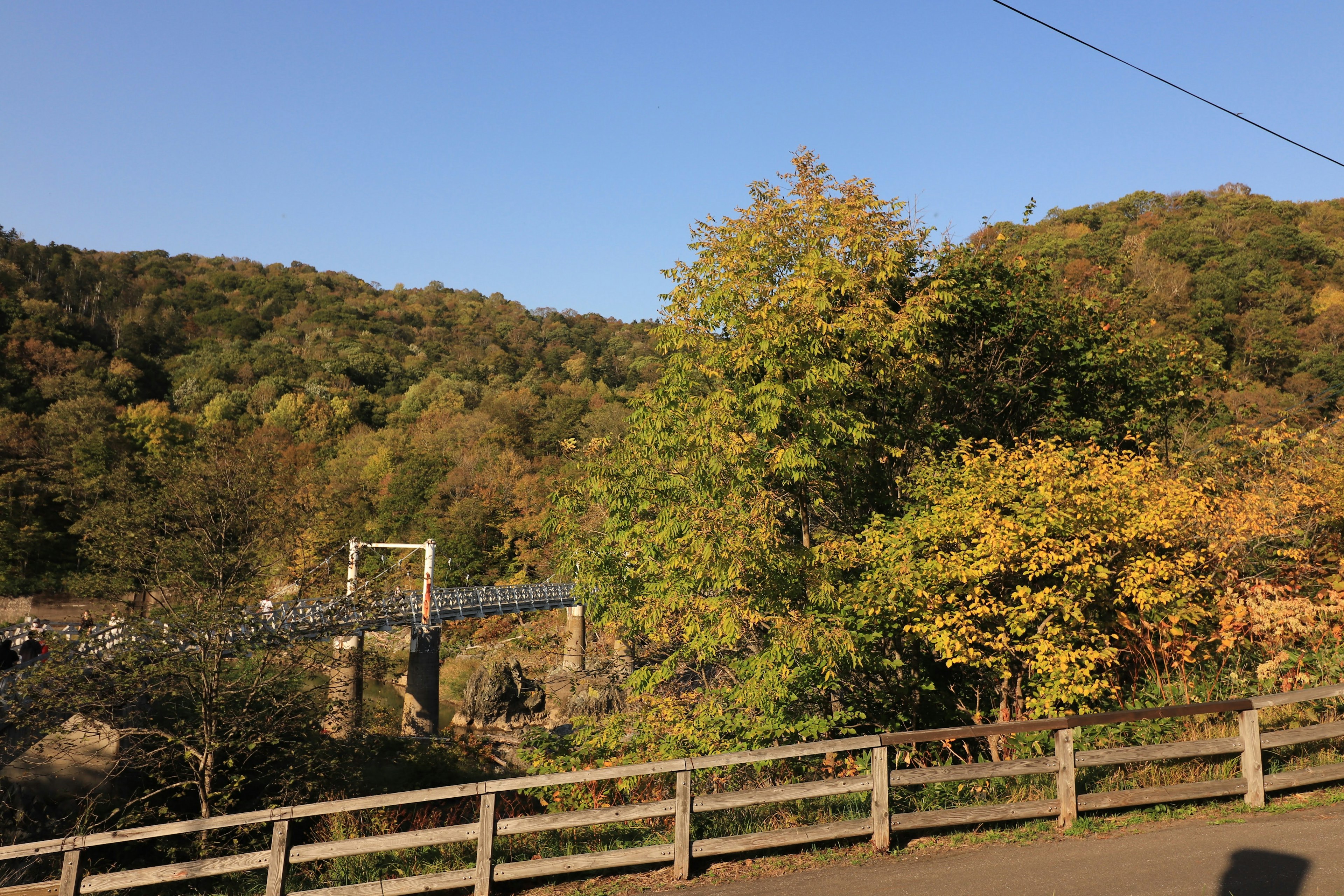 Paesaggio autunnale con alberi colorati e un sentiero sotto un cielo blu