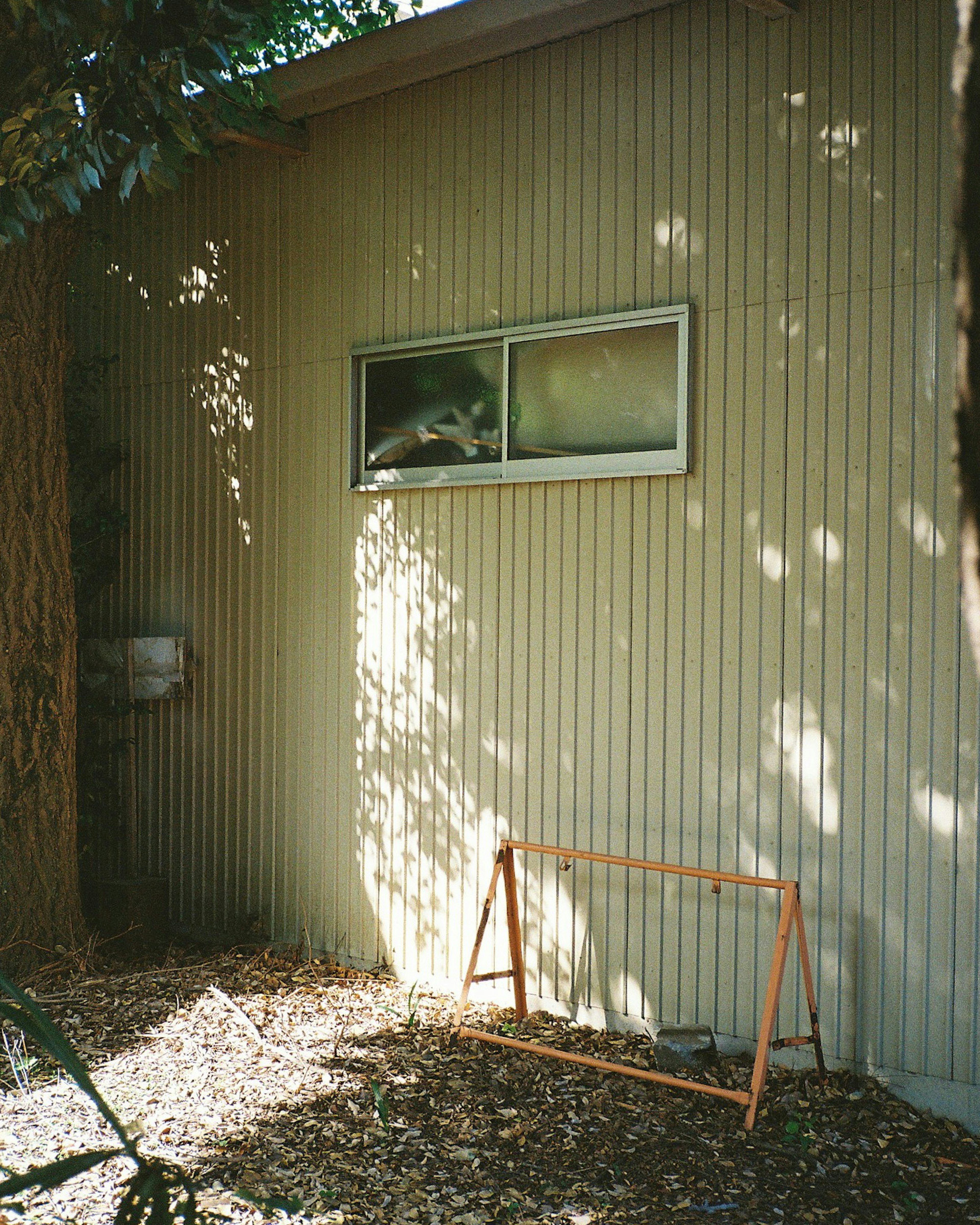 Light filtering through leaves on a beige wall with a window and a wooden frame