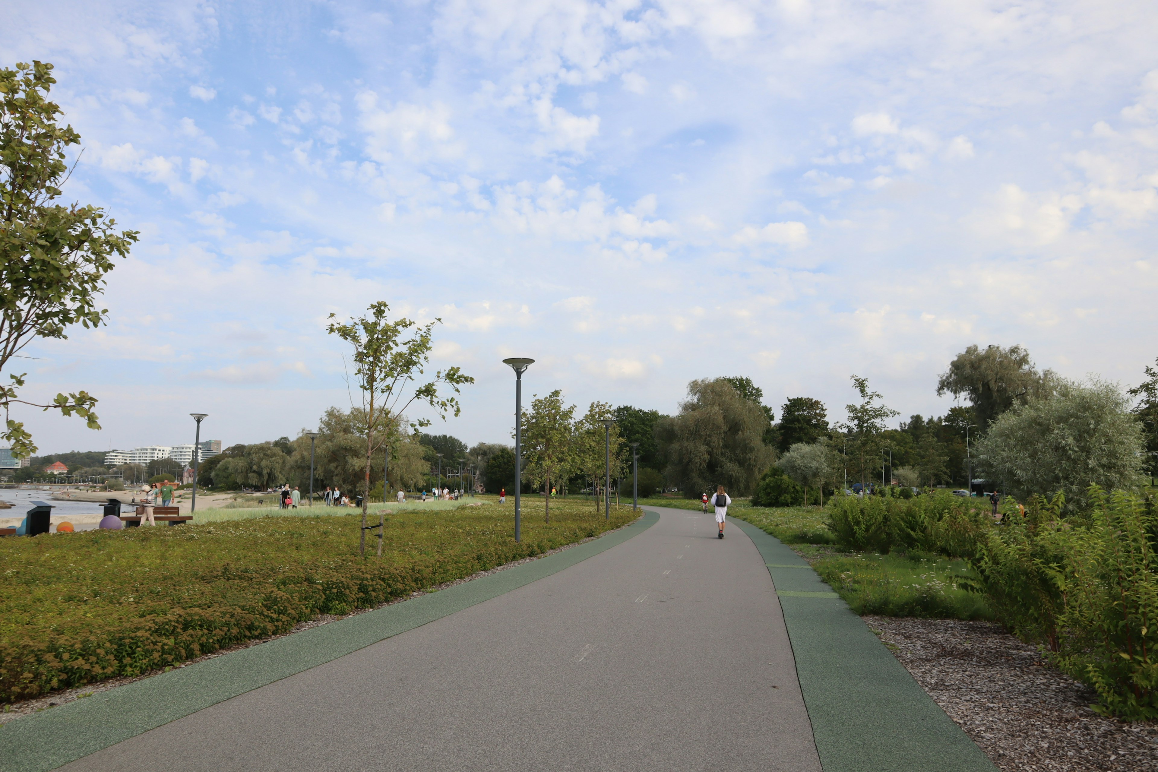 Sentier pavé dans un parc tranquille avec des plantes vertes