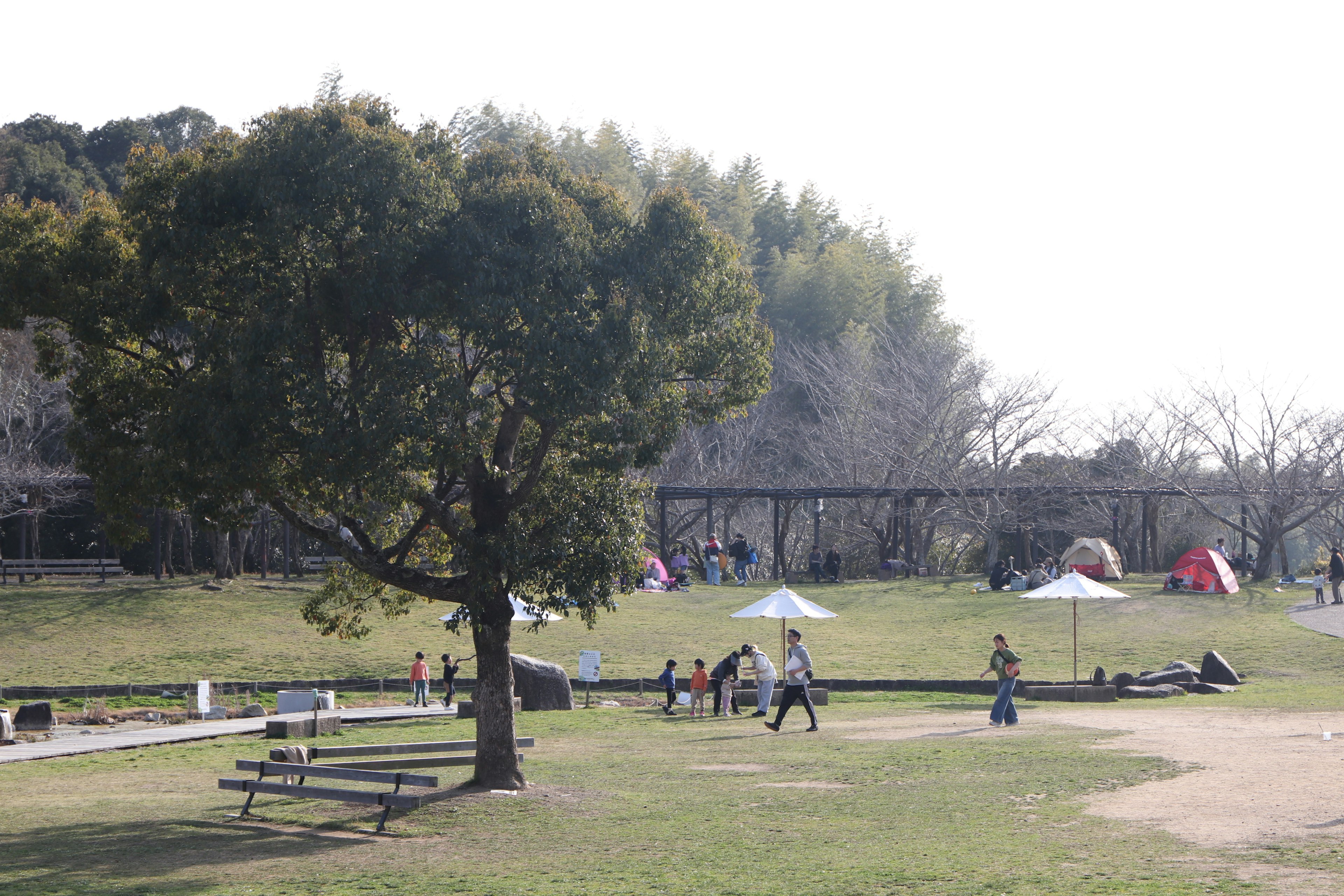 A scenic park with children playing and tents in the background