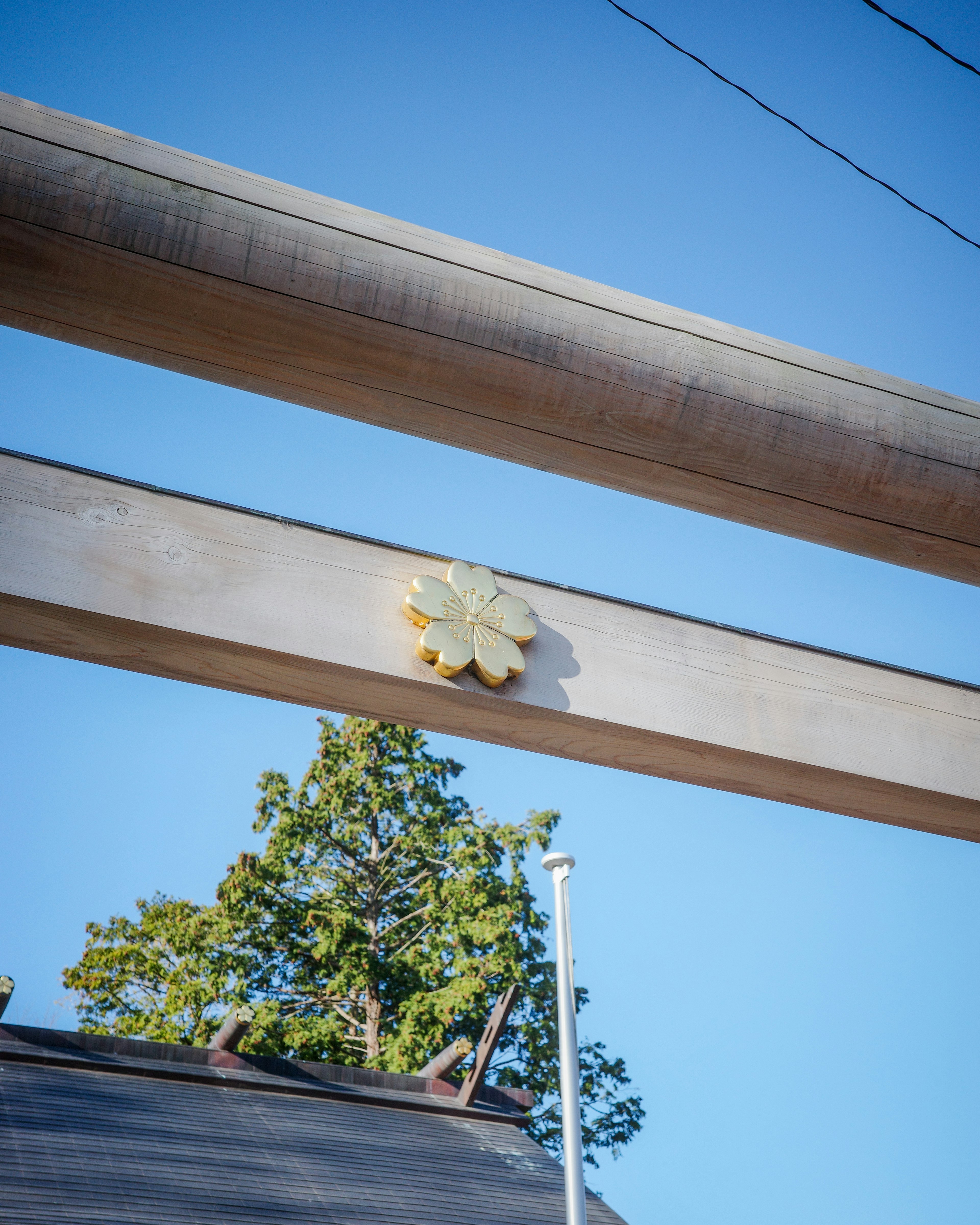 Golden emblem on the torii gate under a clear blue sky with green foliage