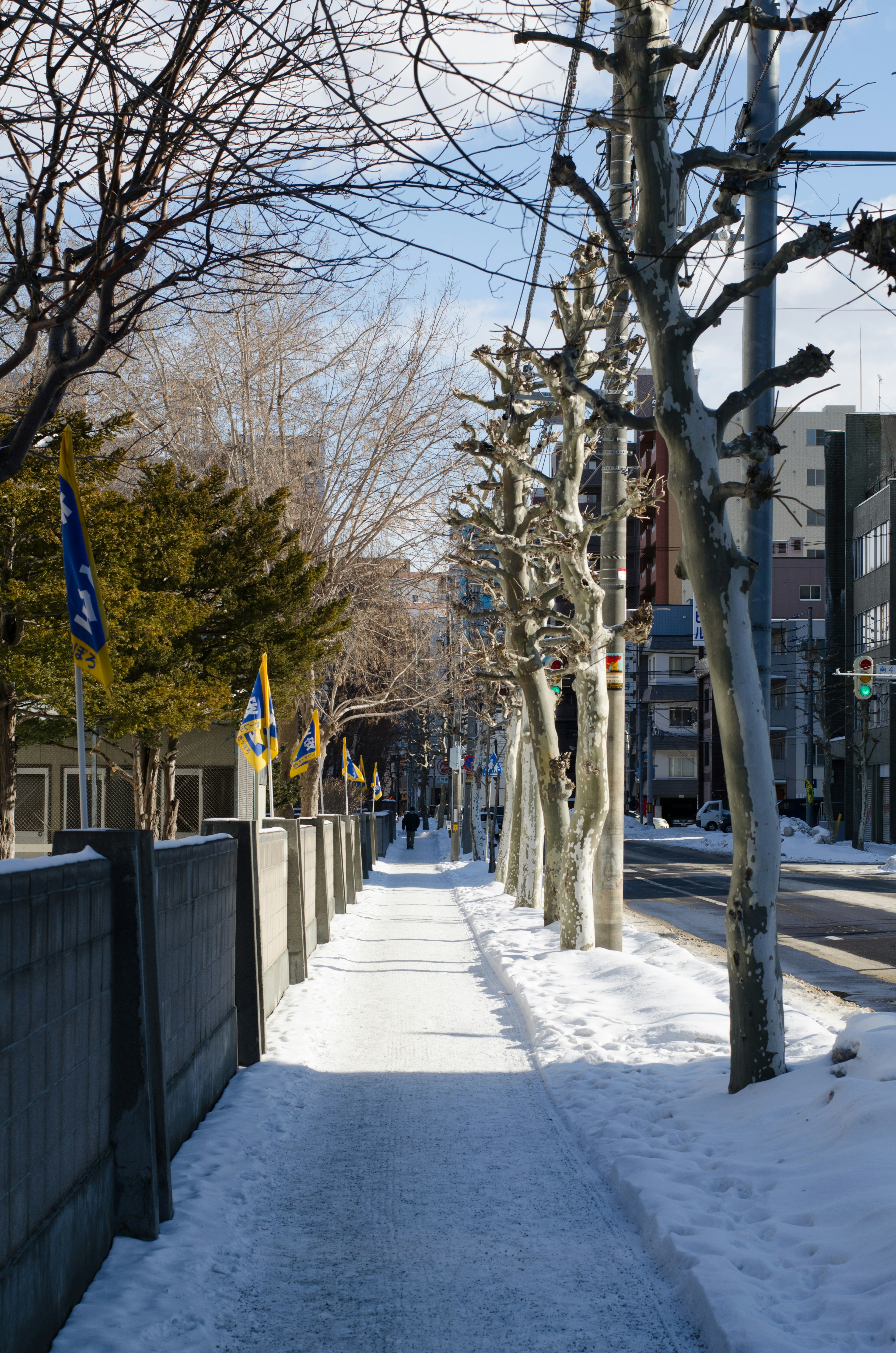 Snow-covered sidewalk with winter trees lining the street