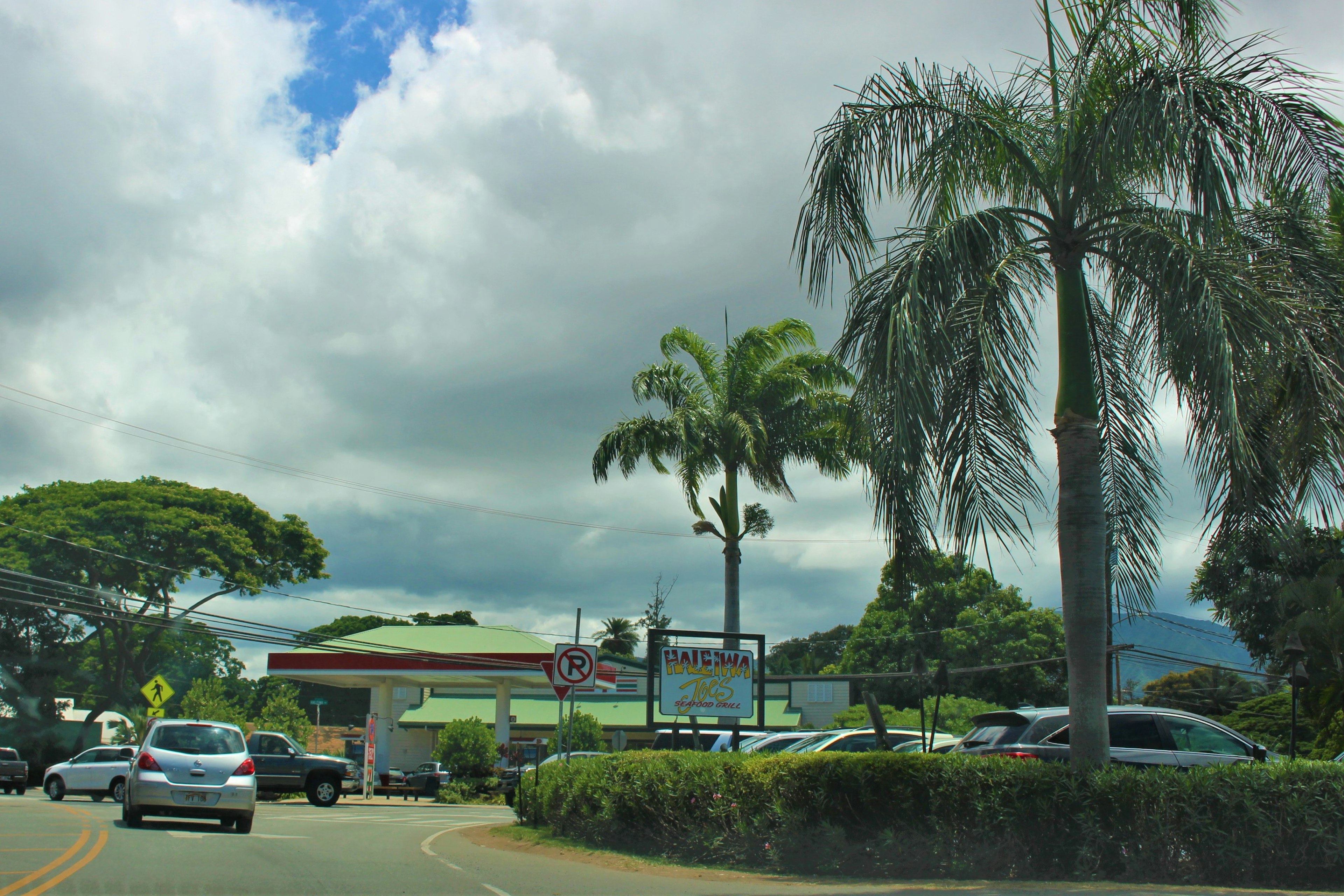 A quiet road scene with passing cars under green trees and a wide sky