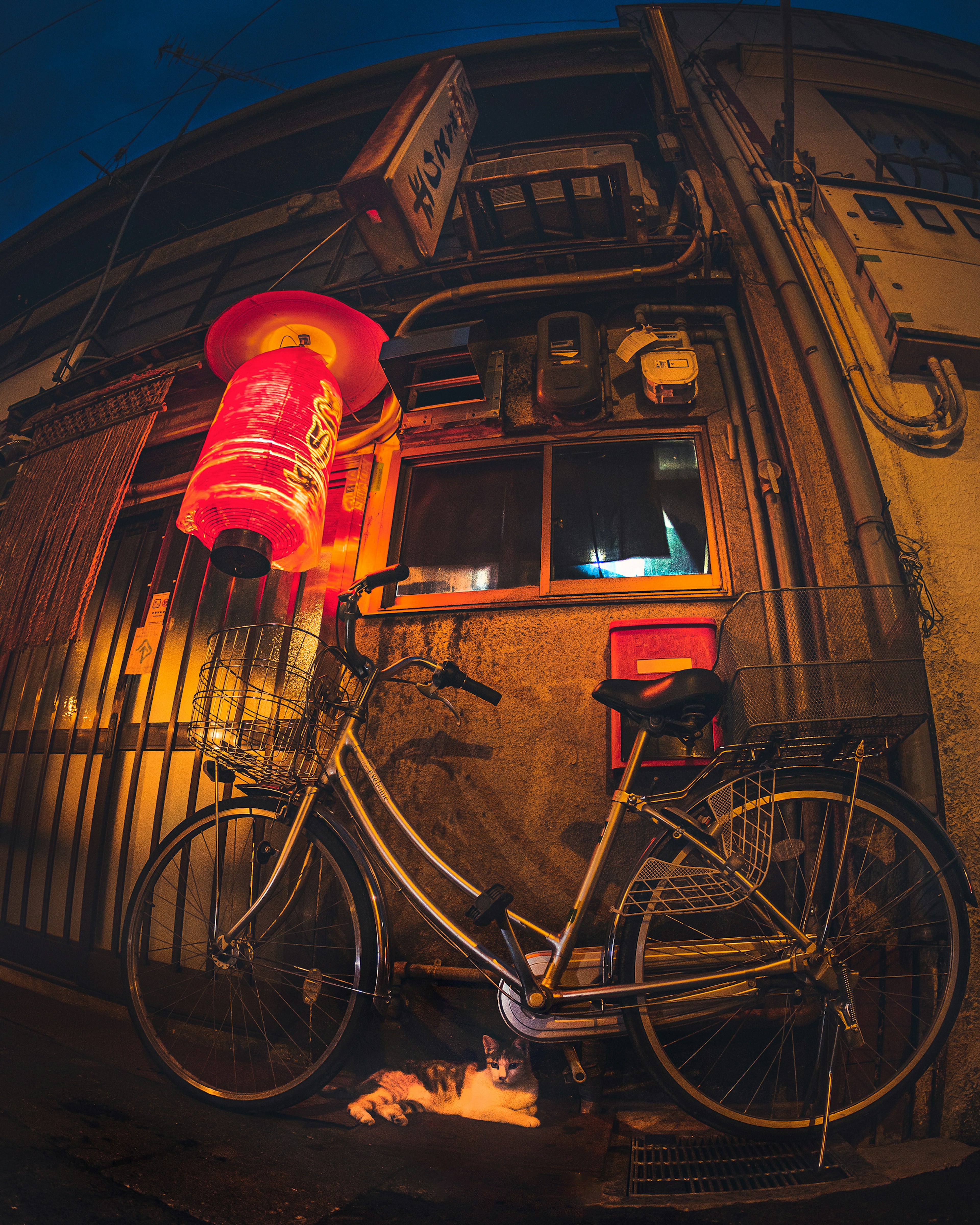 夜の街角に置かれた赤い提灯と自転車の風景