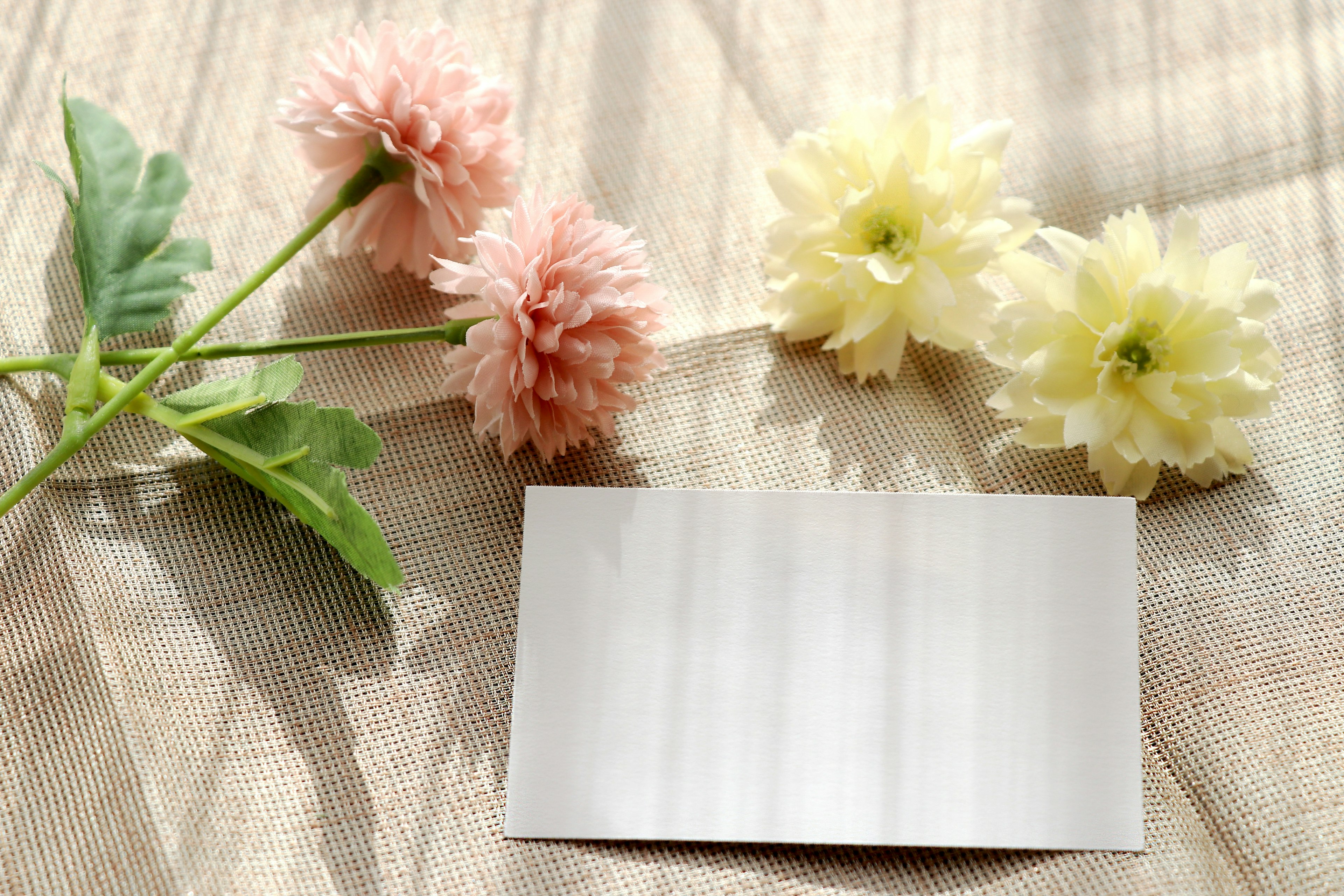 Image featuring soft-colored flowers and a blank white card