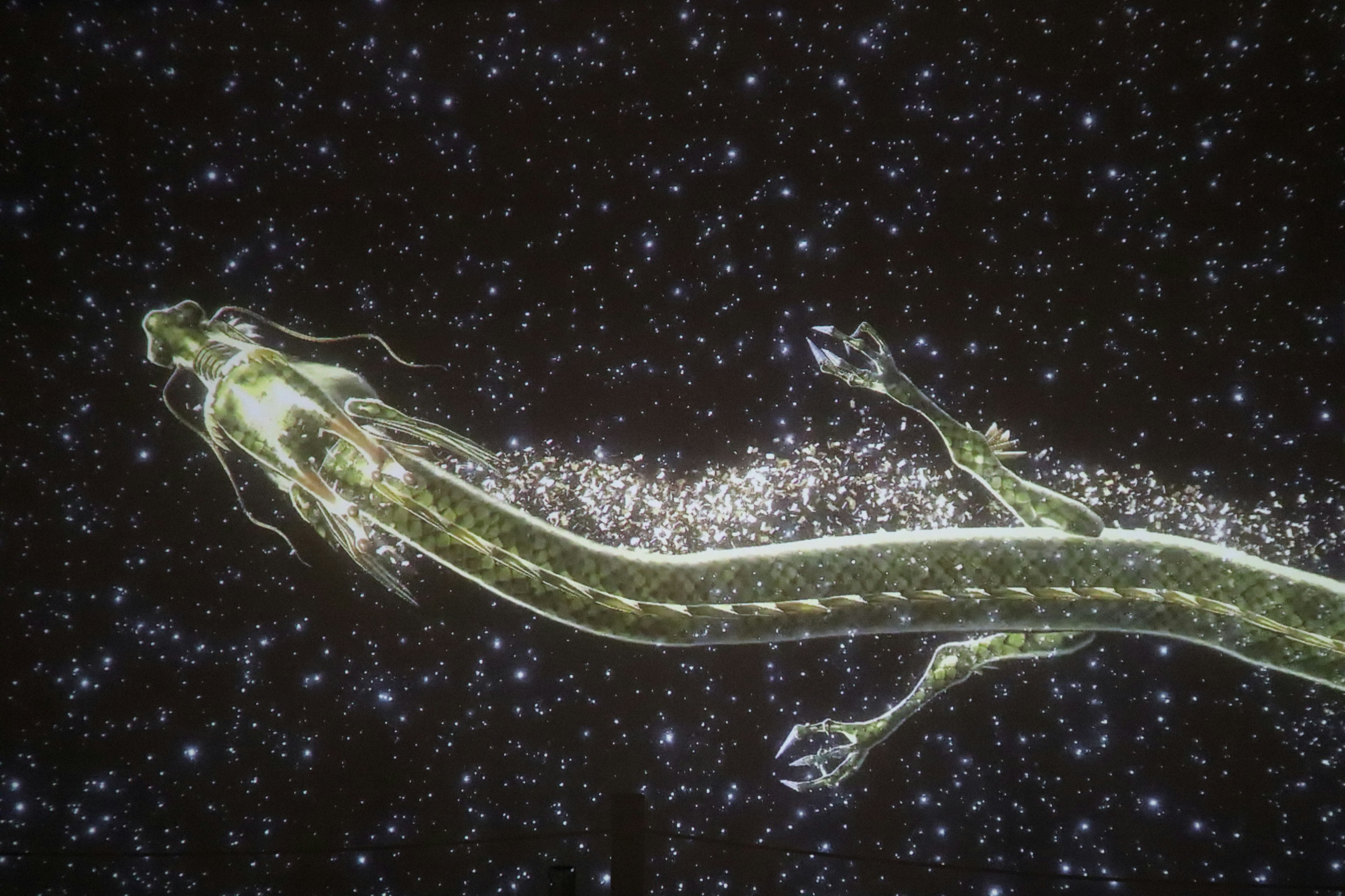 An image of a glowing creature swimming through a cosmic background