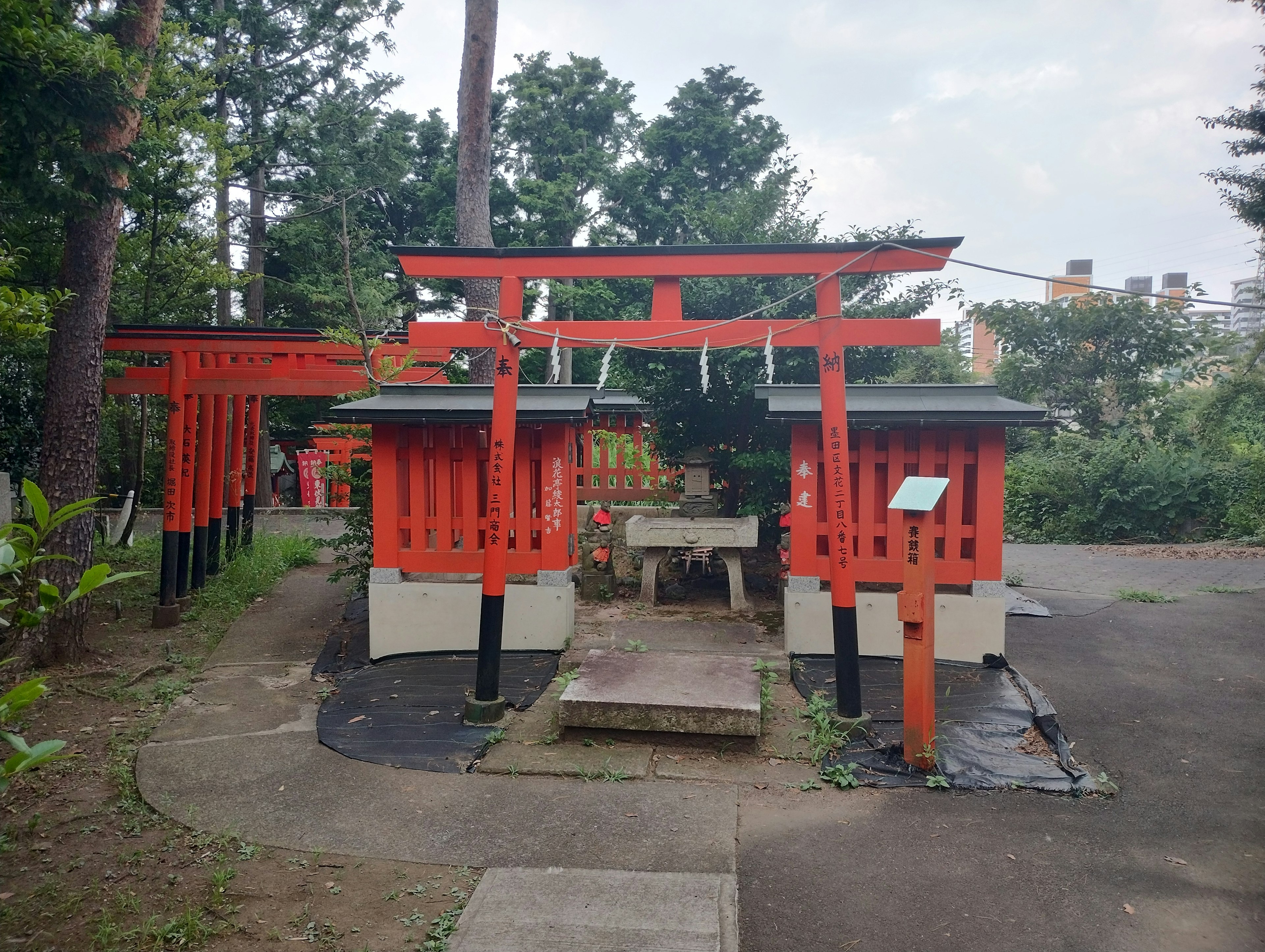 Landschaft eines japanischen Schreins mit roten Torii-Toren