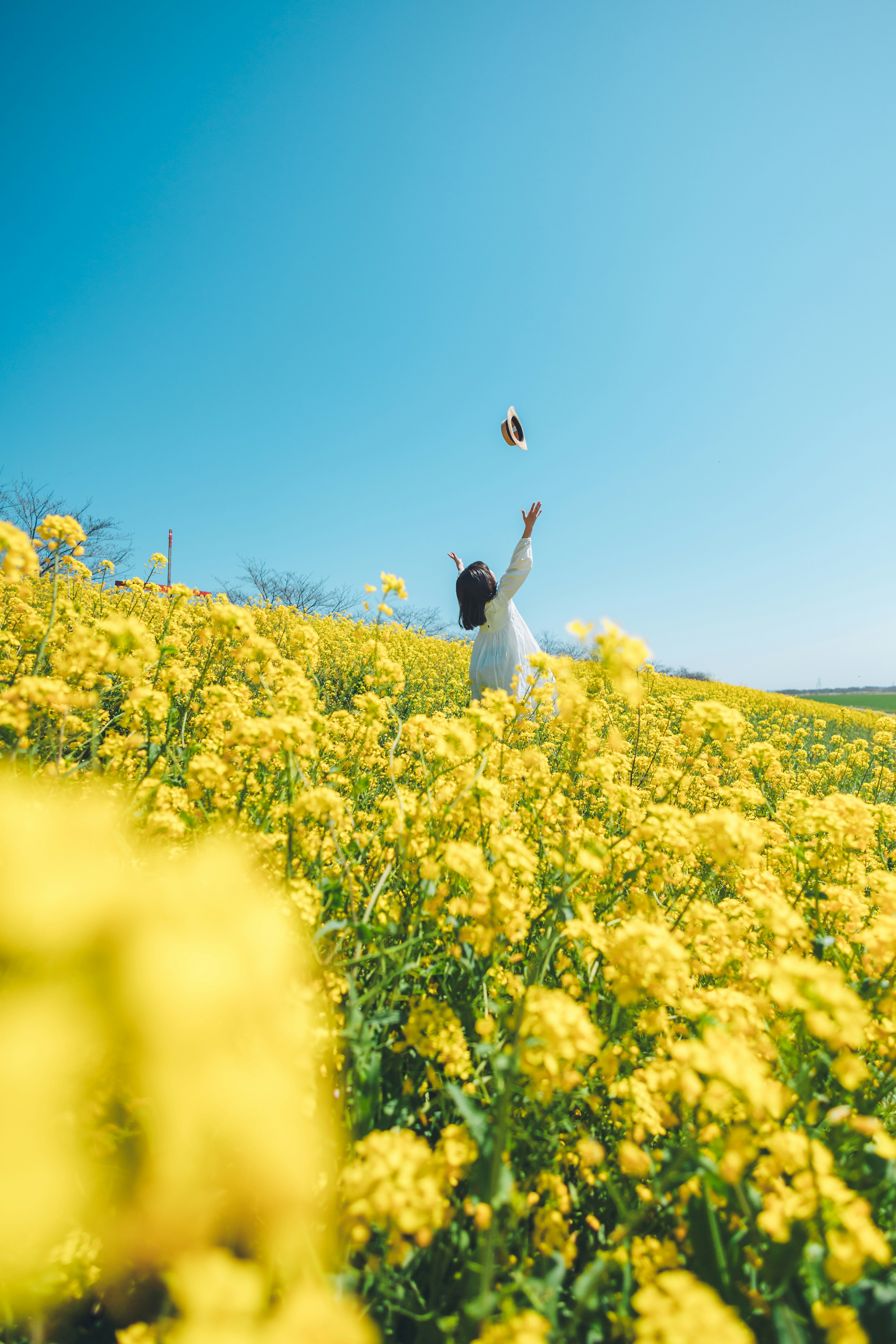 Una mujer de pie en un campo de flores amarillas bajo un cielo azul levantando la mano