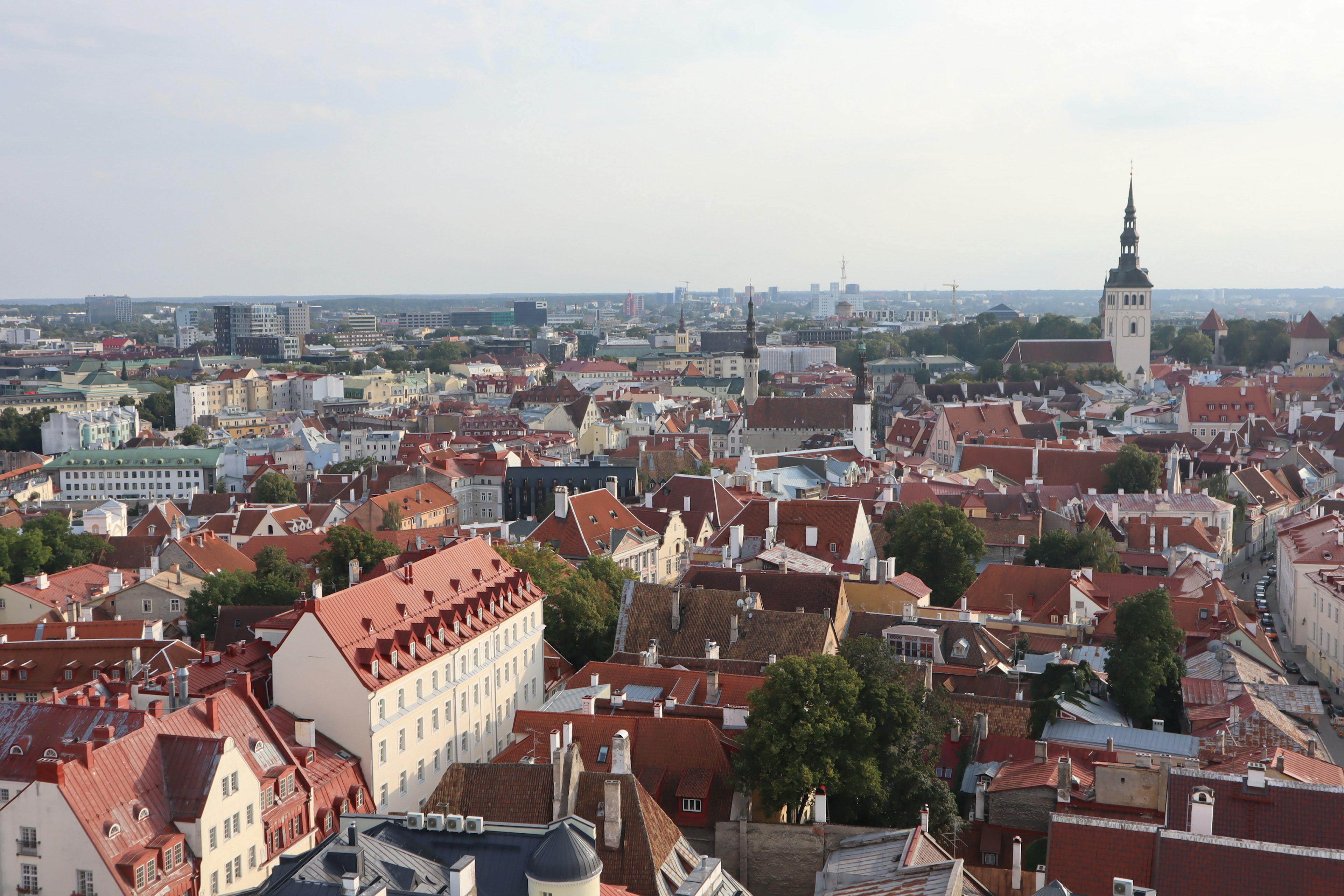 Vista di Tallinn con tetti rossi e alberi verdi