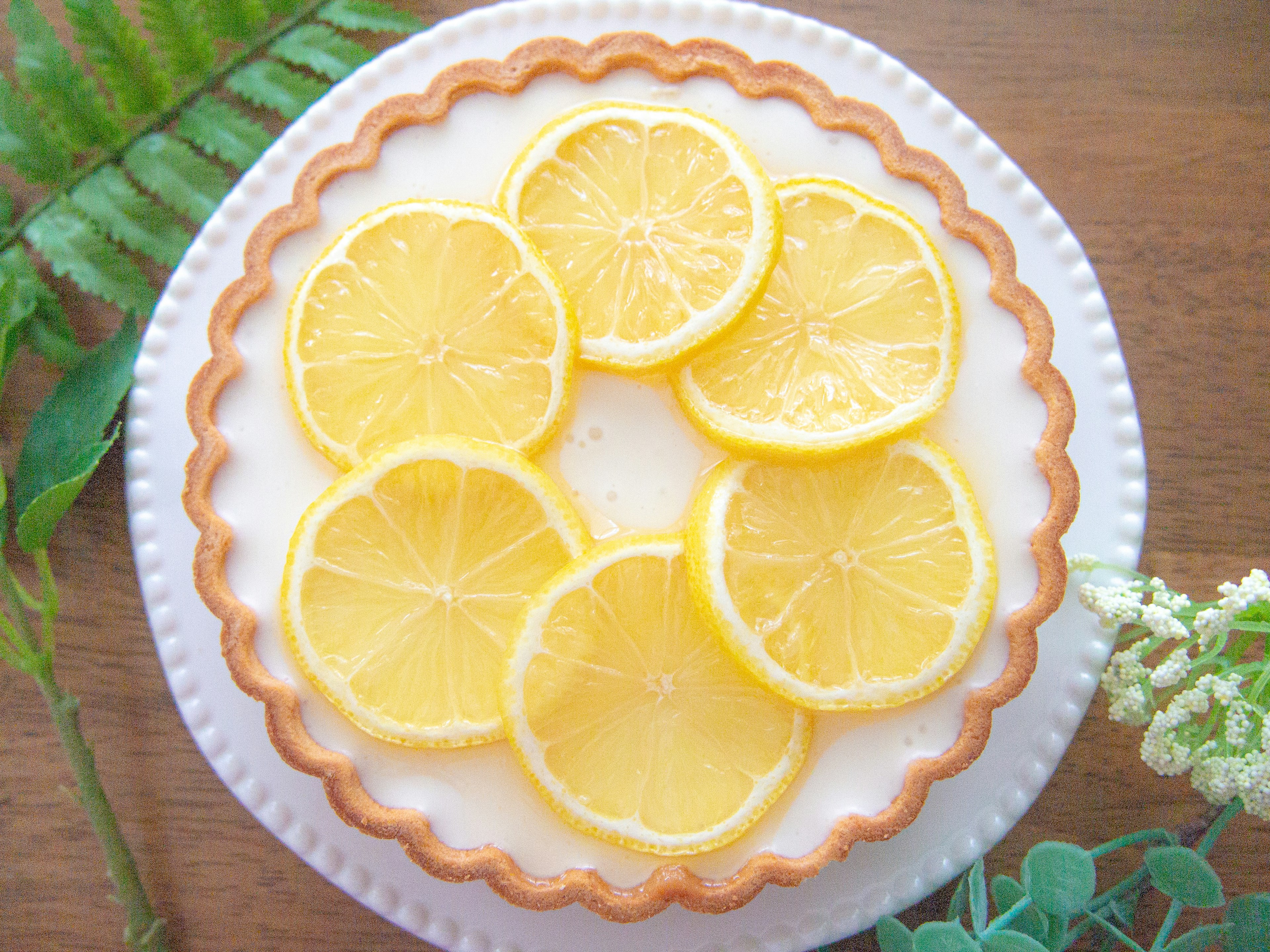 Tarta cremosa cubierta con rodajas de limón fresco