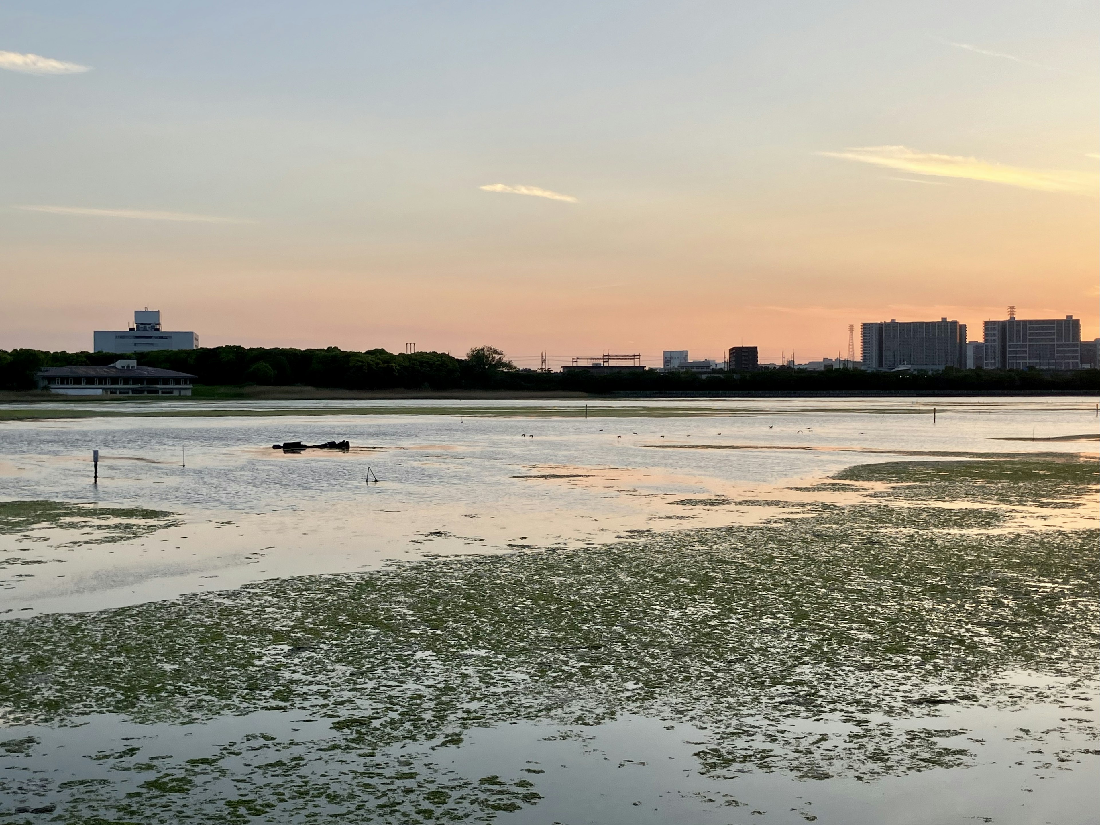 Danau tenang saat senja dengan latar belakang cakrawala kota