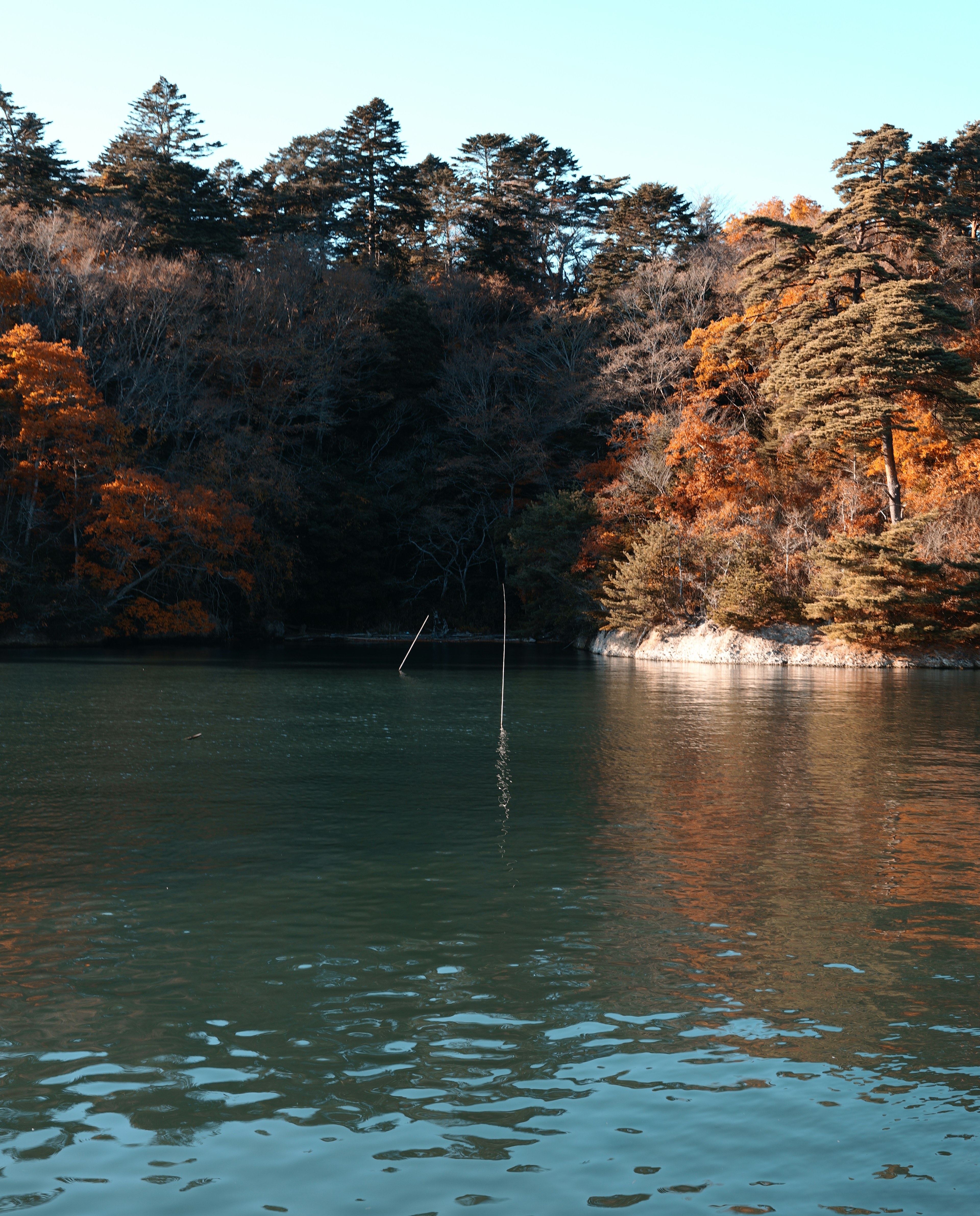 Lac serein avec des arbres d'automne vibrants