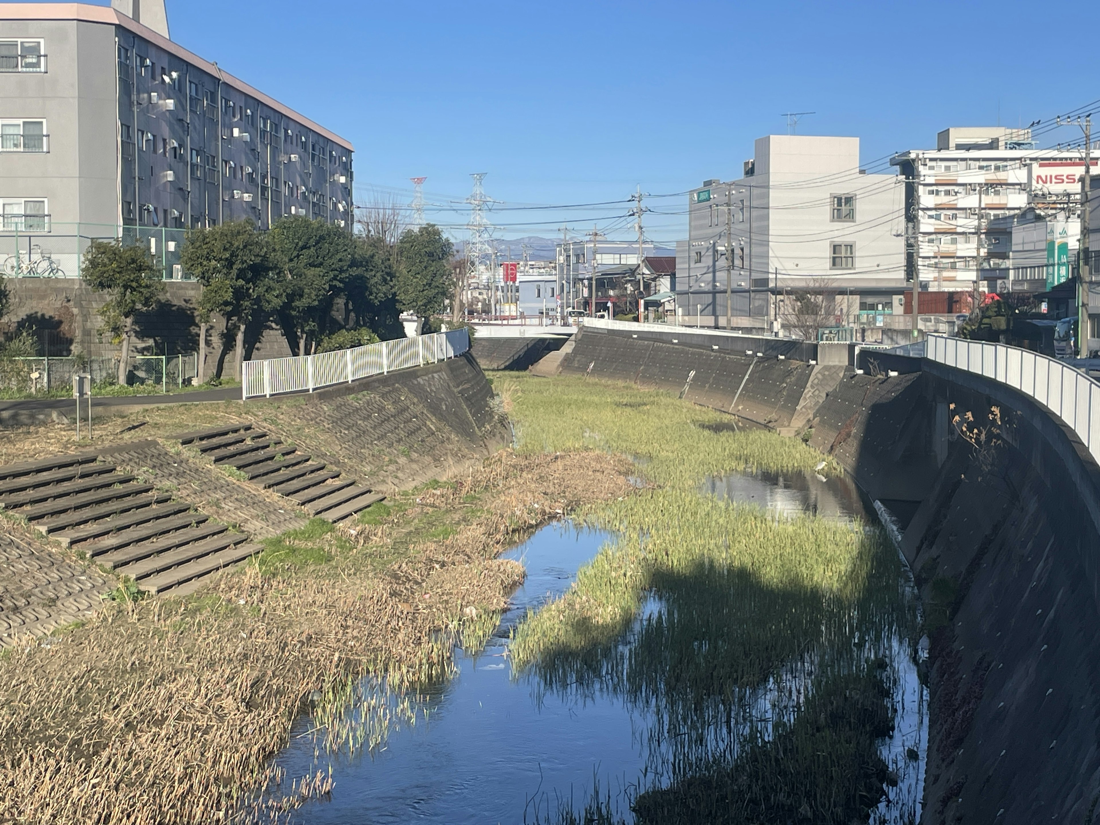 Un paisaje con hierba alrededor de un río y edificios altos visibles